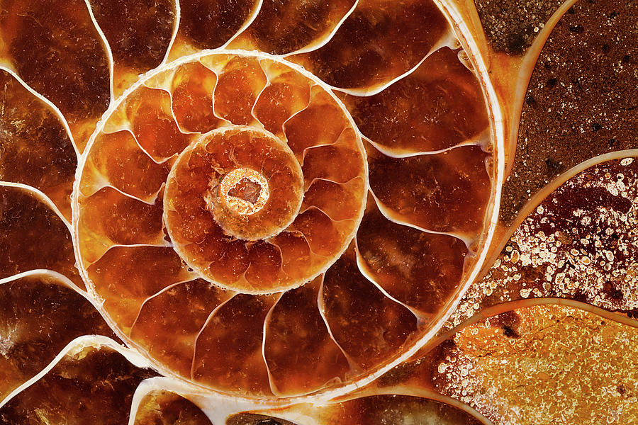 Emergent Cyclical Theory