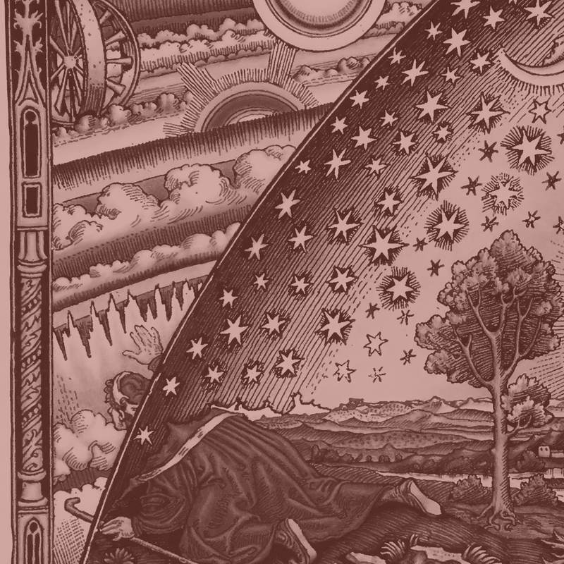 Process Thought and Science 2025 (Session 5)