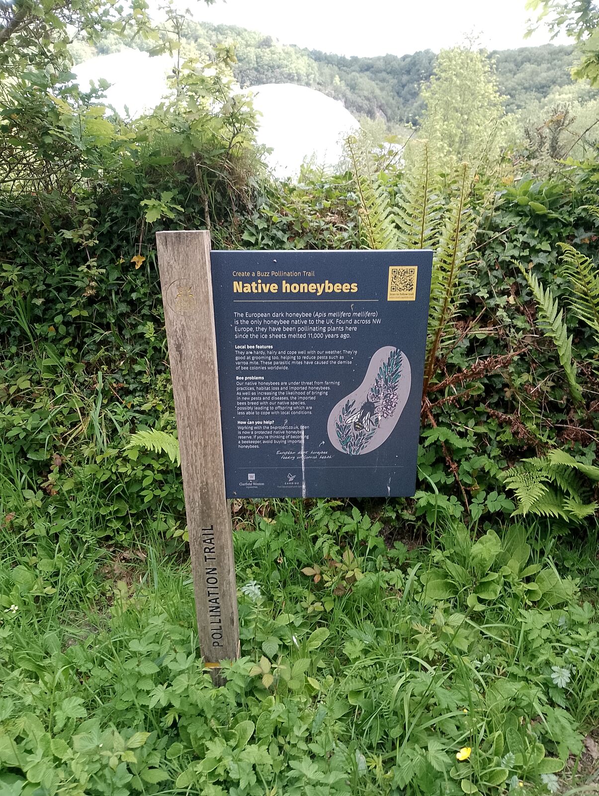 Eden Project