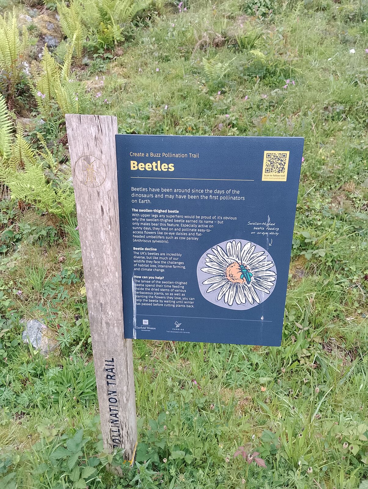 Eden Project