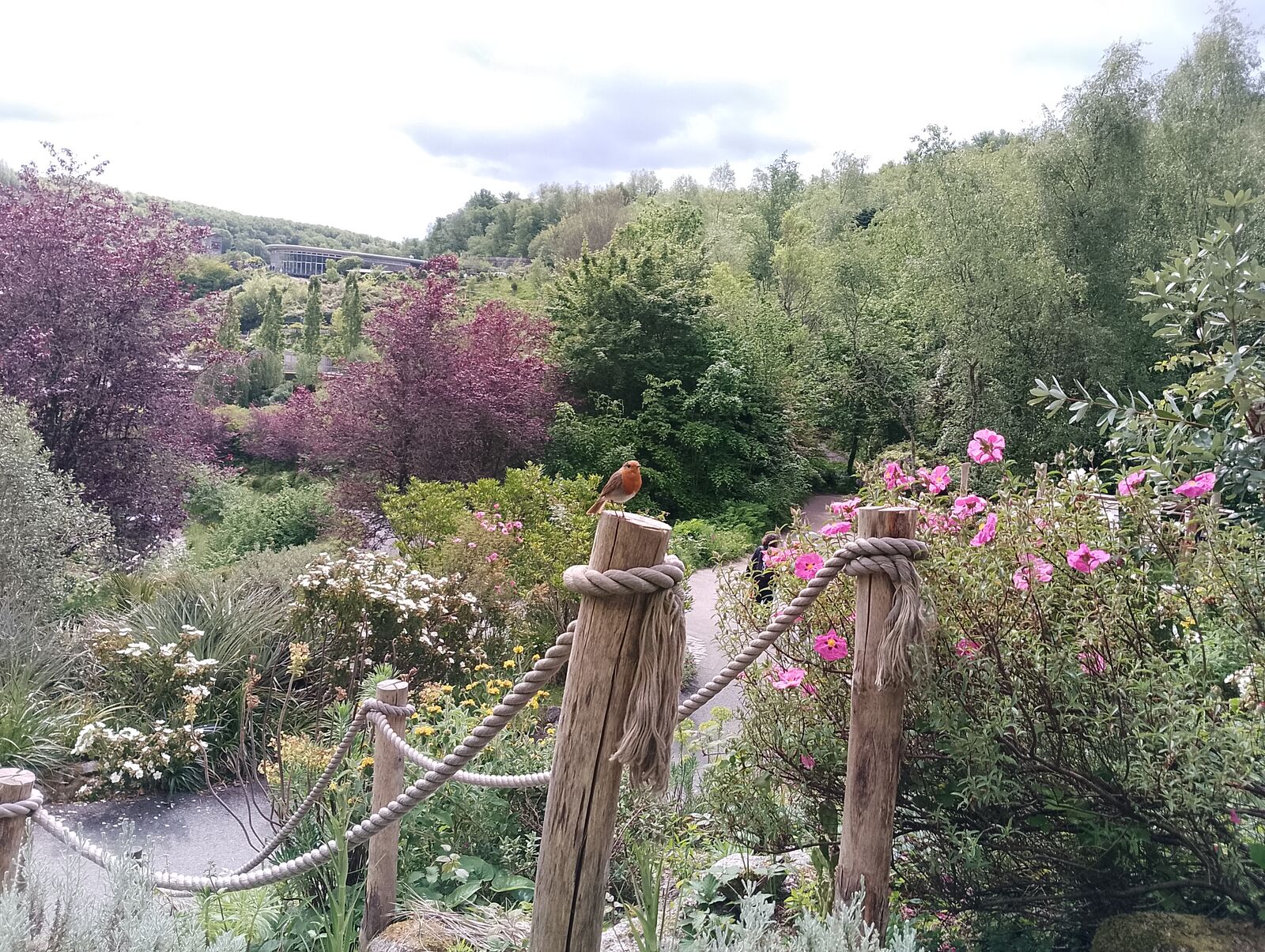 Eden Project