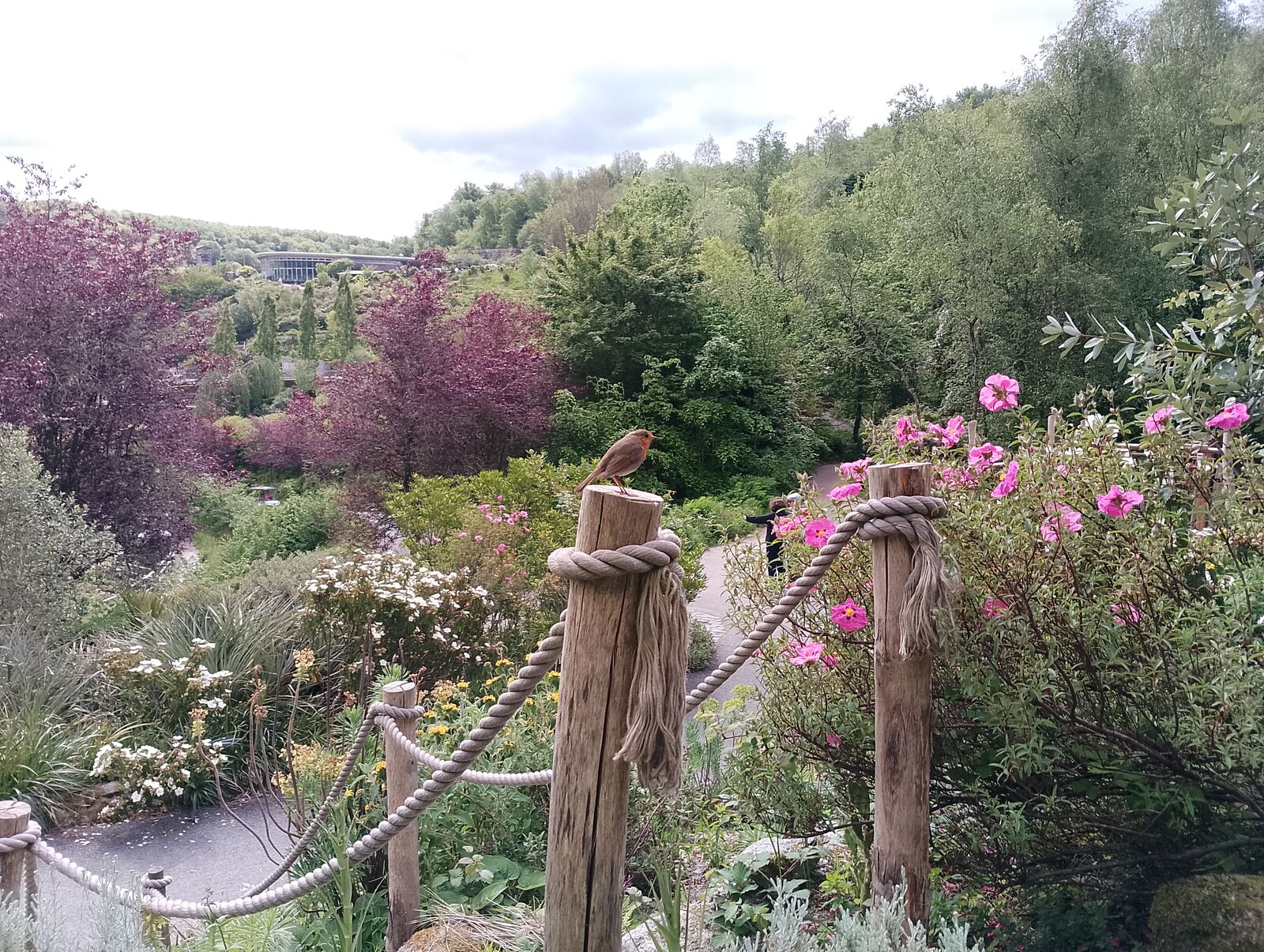 Eden Project