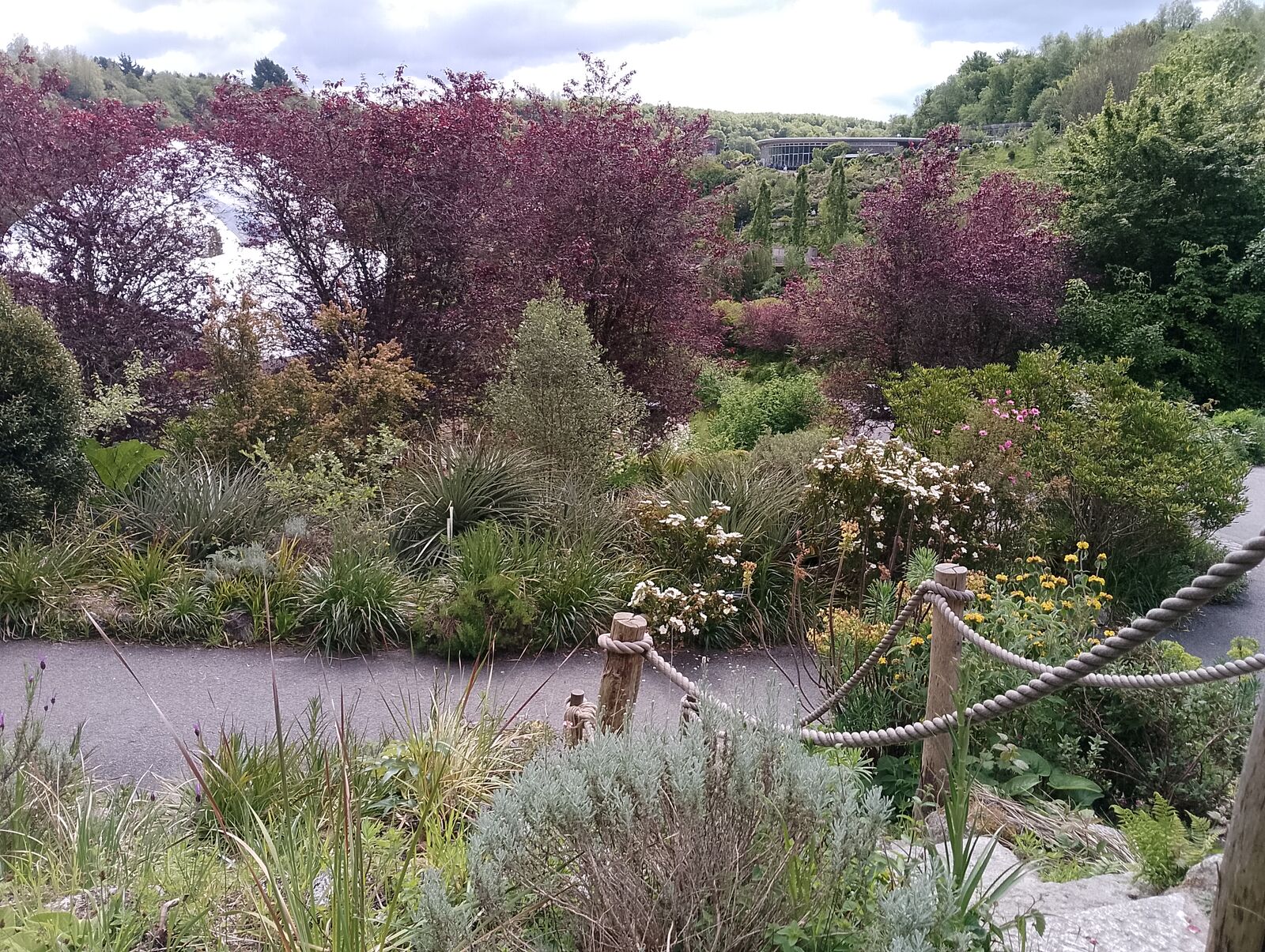 Eden Project