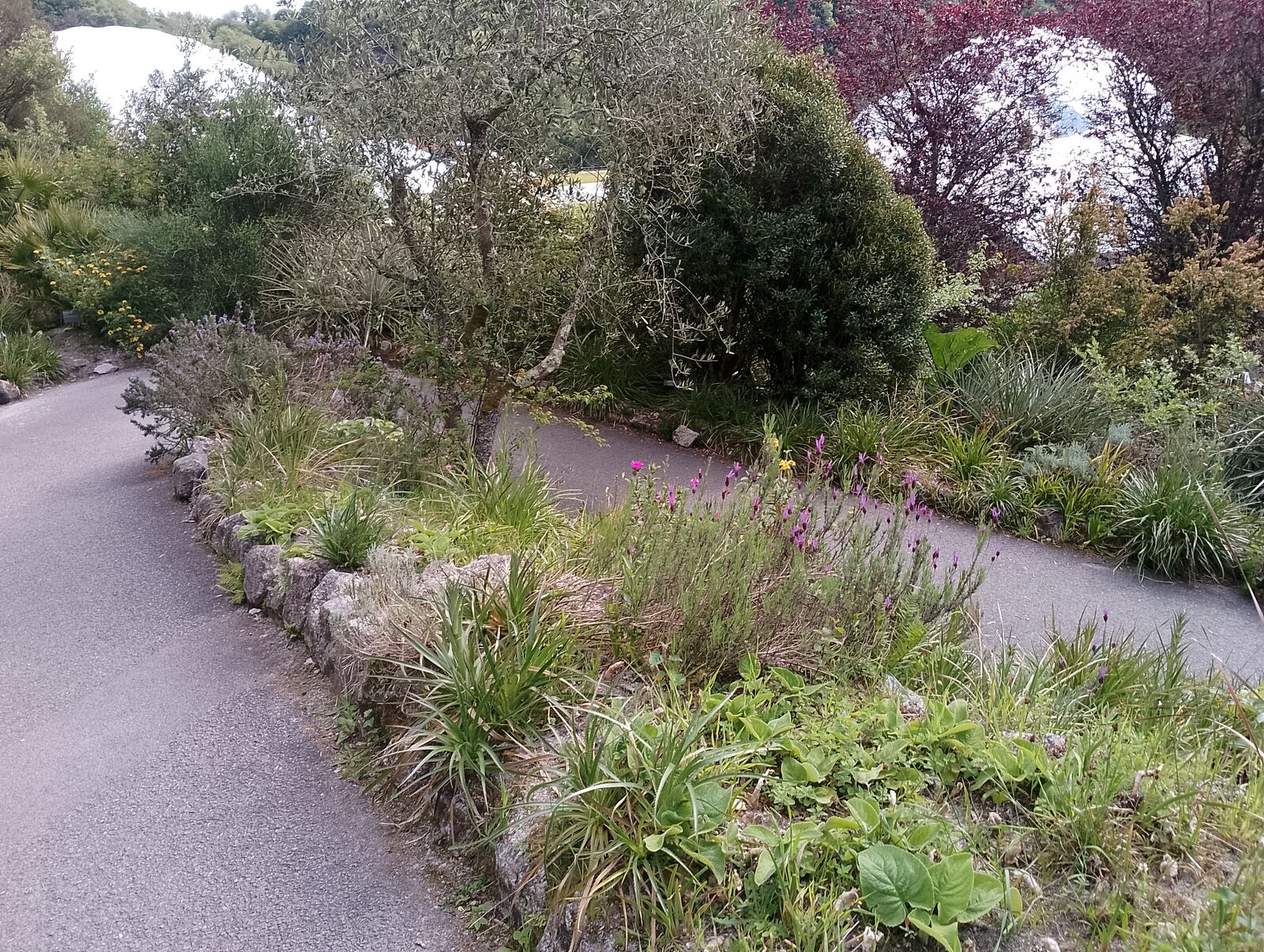 Eden Project