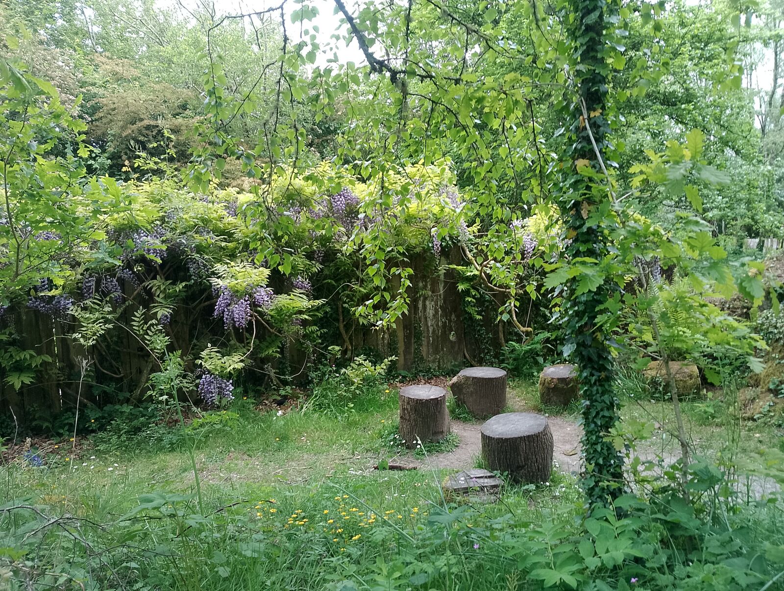 Eden Project