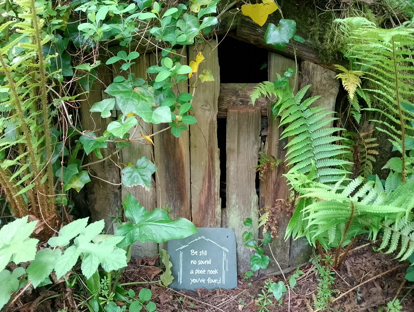 Eden Project