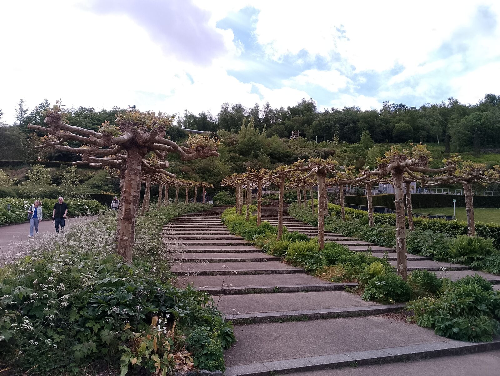 Eden Project