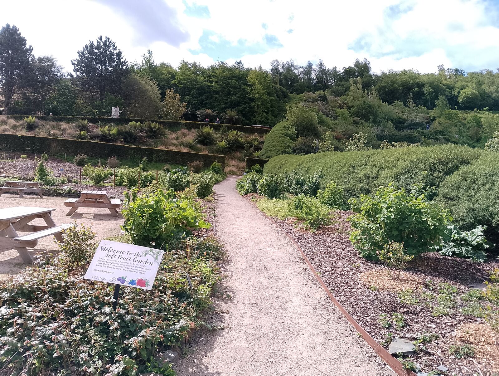 Eden Project