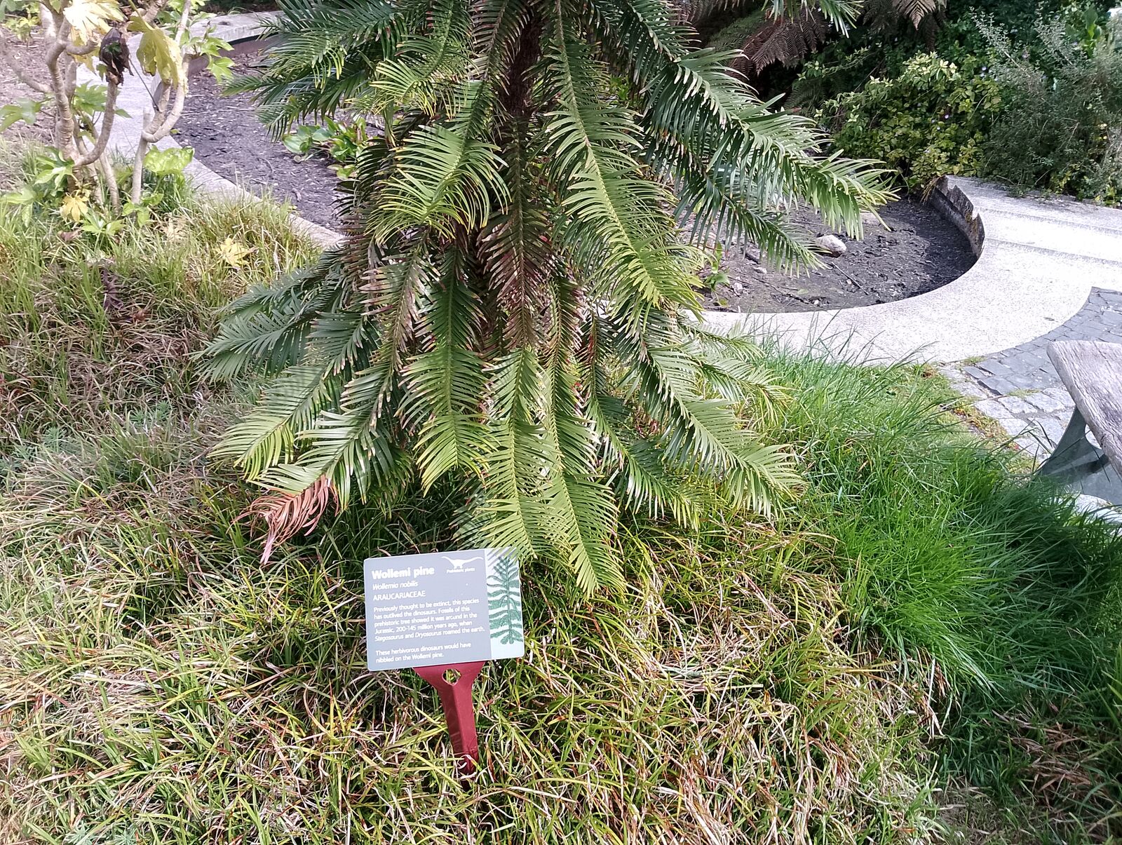 Eden Project