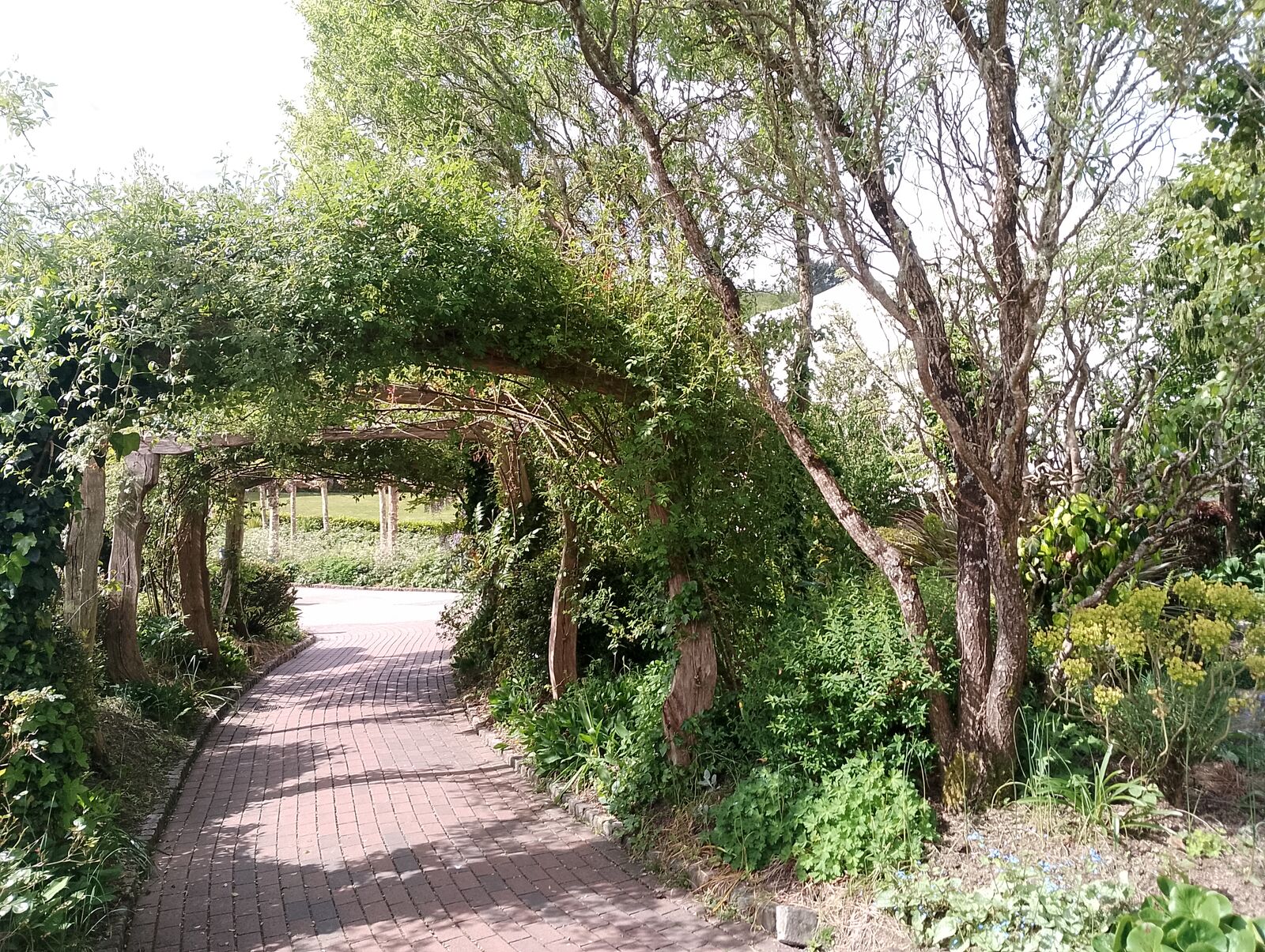 Eden Project