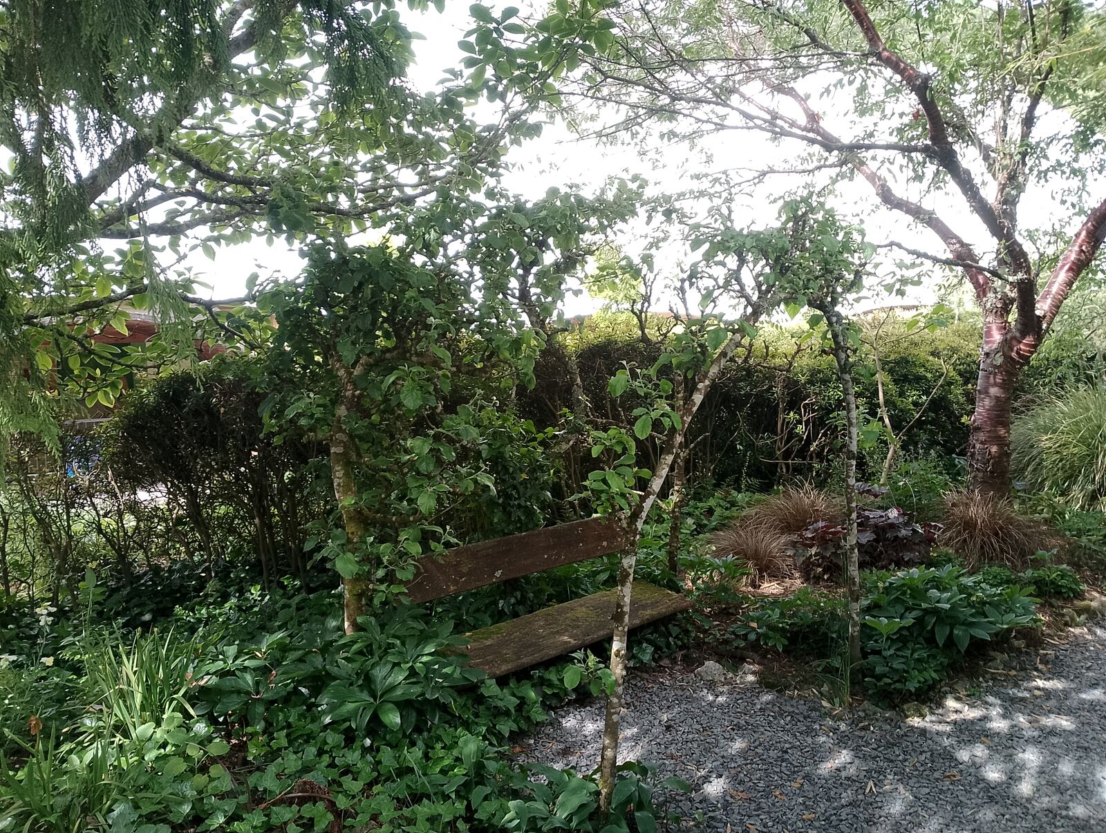 Eden Project