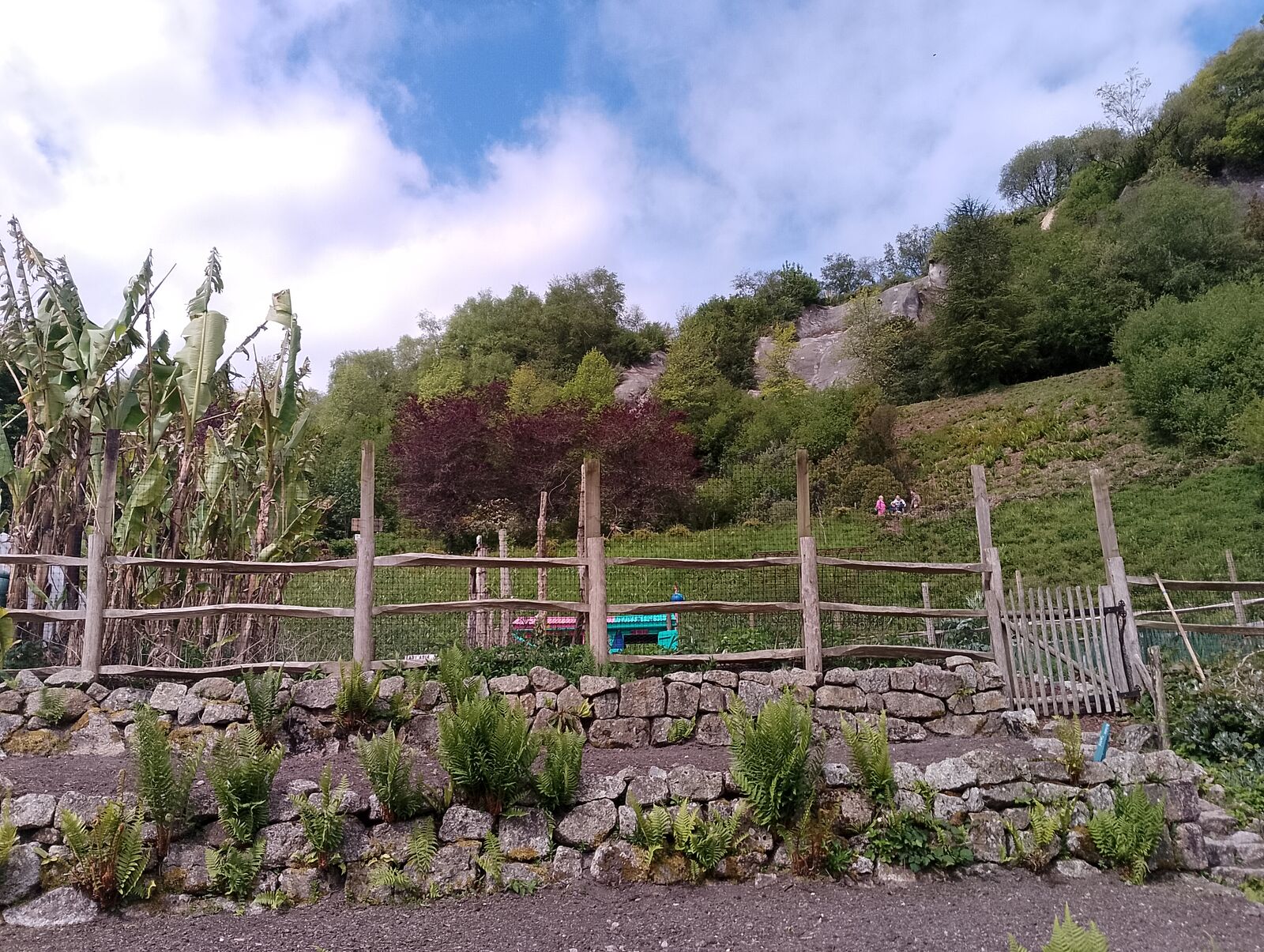 Eden Project