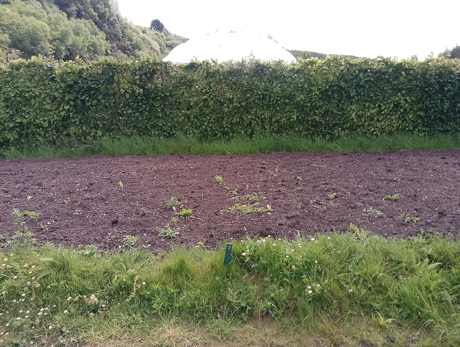Eden Project