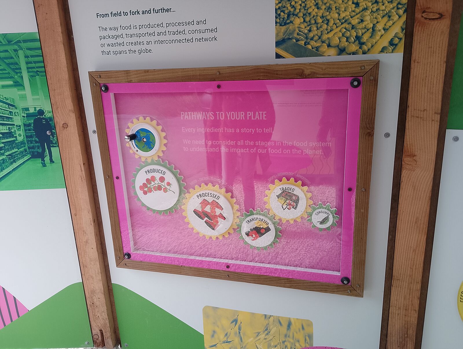 Eden Project