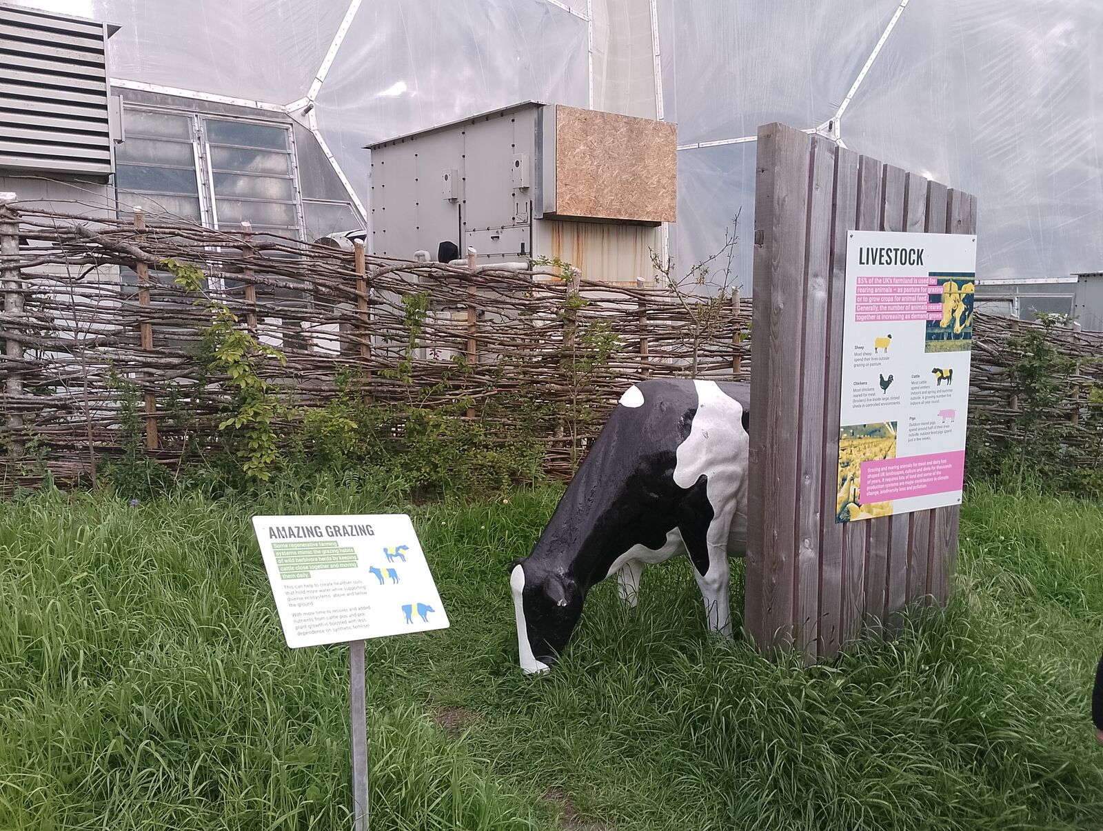 Eden Project