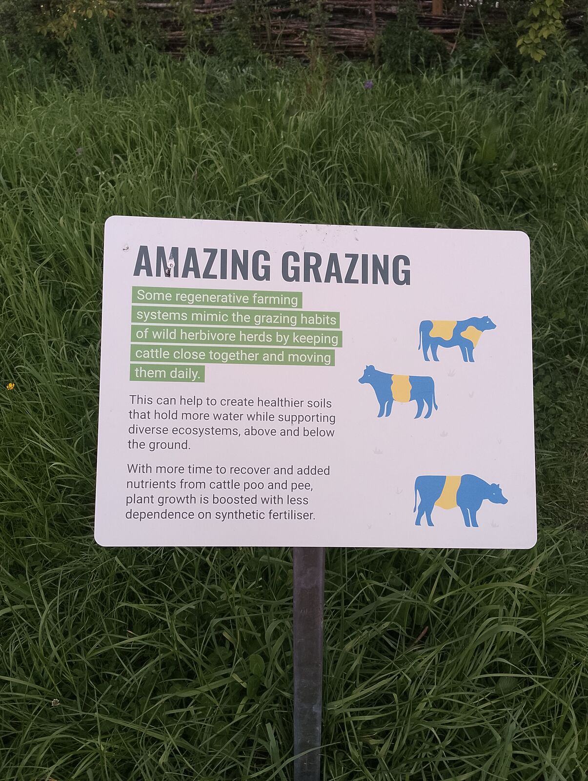 Eden Project