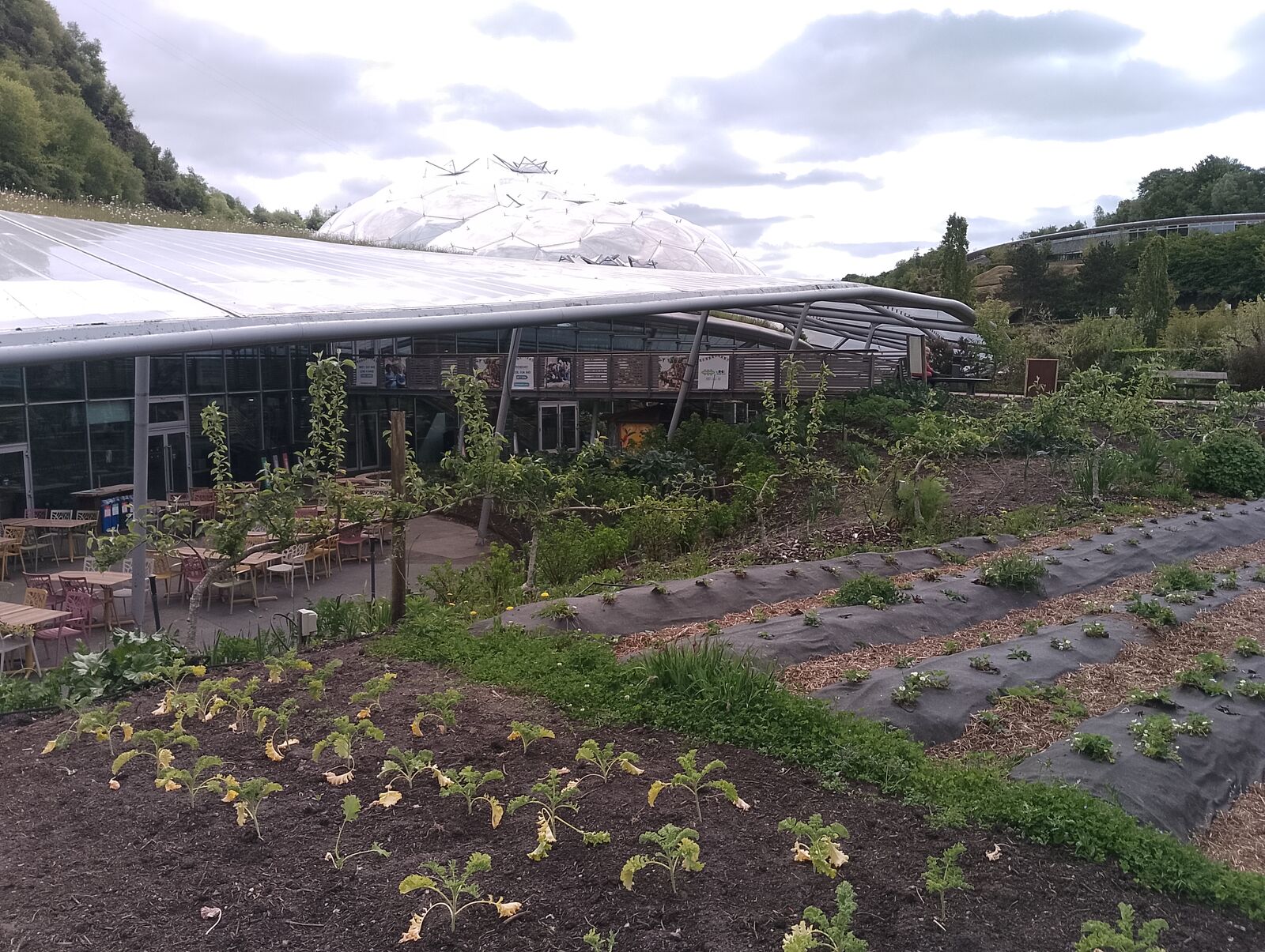 Eden Project