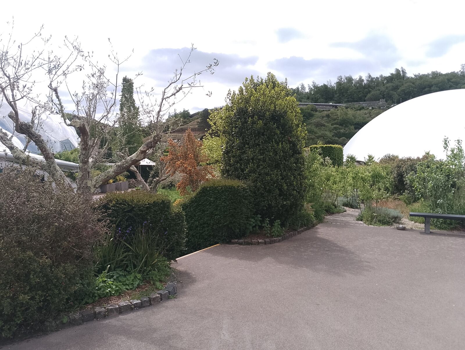 Eden Project