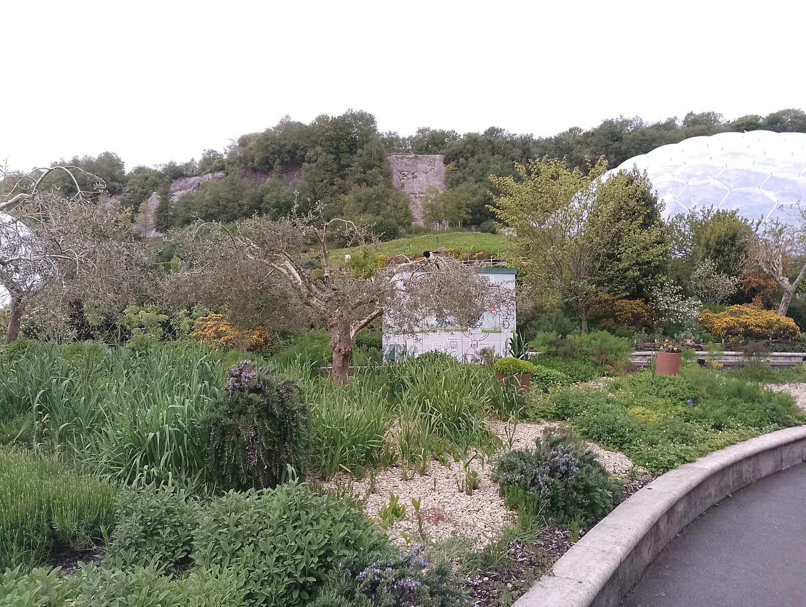 Eden Project