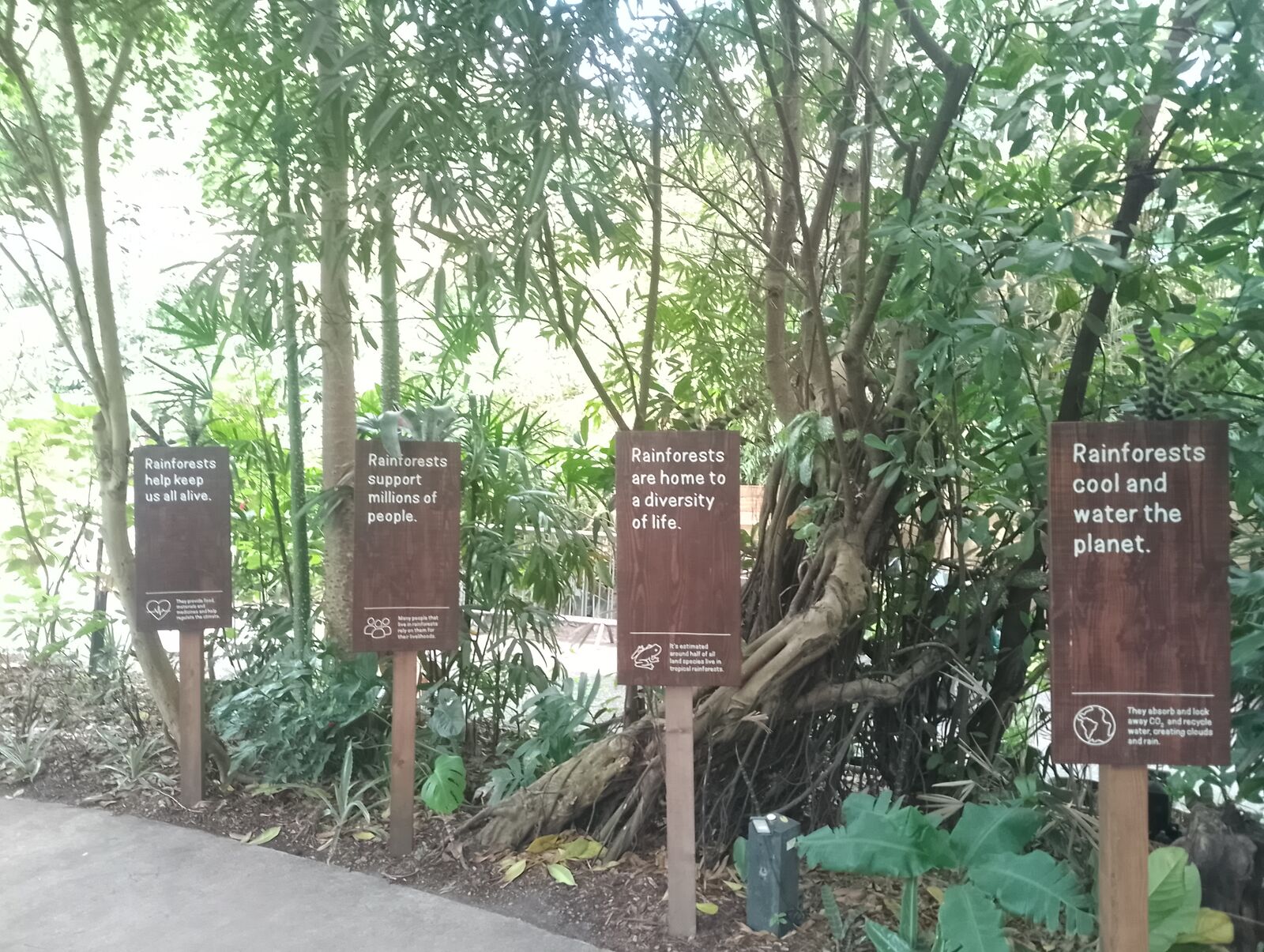 Eden Project