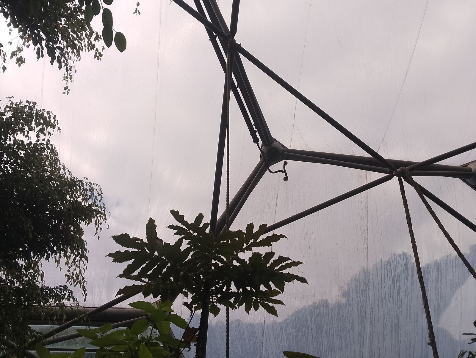 Eden Project