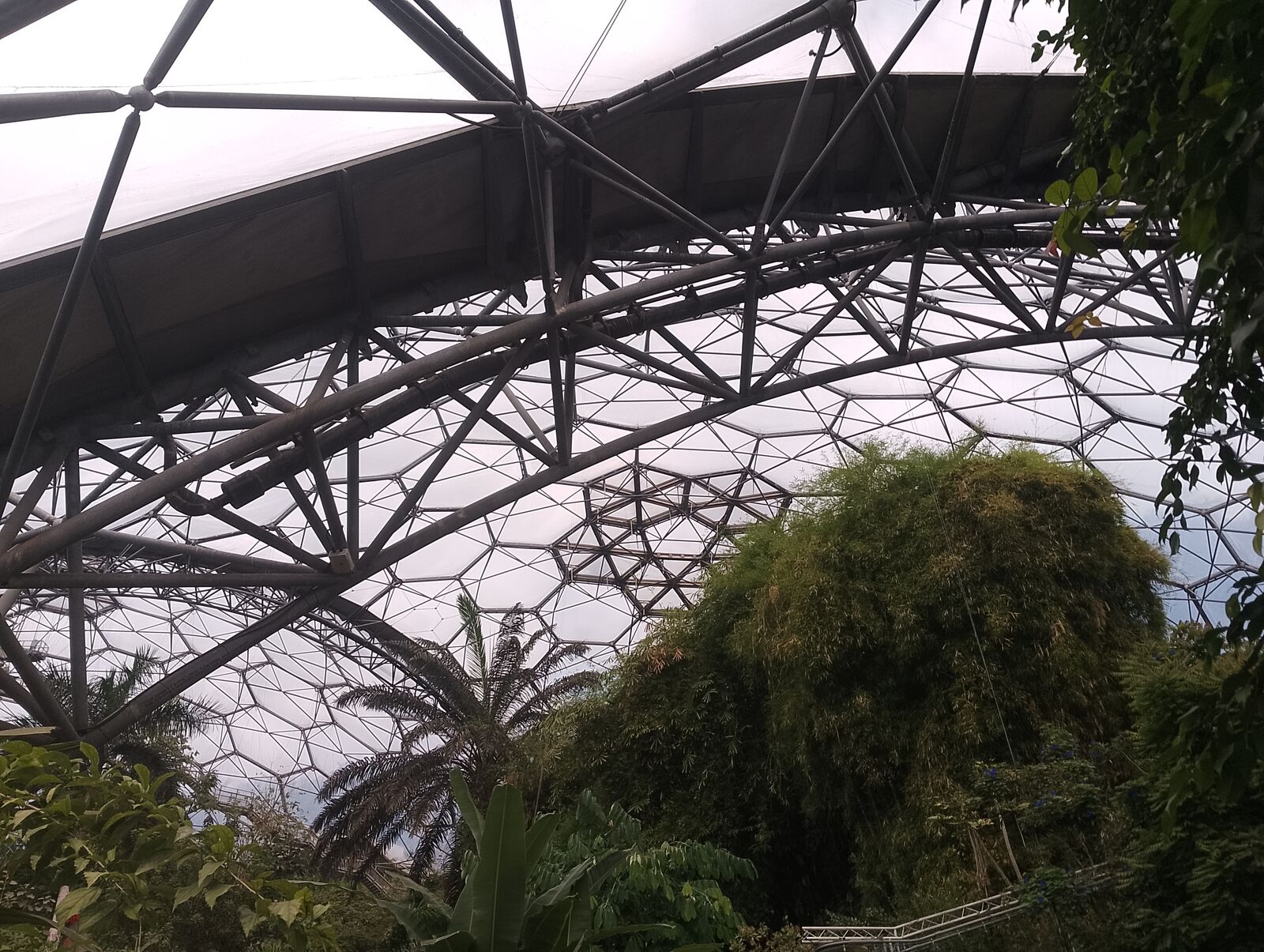 Eden Project