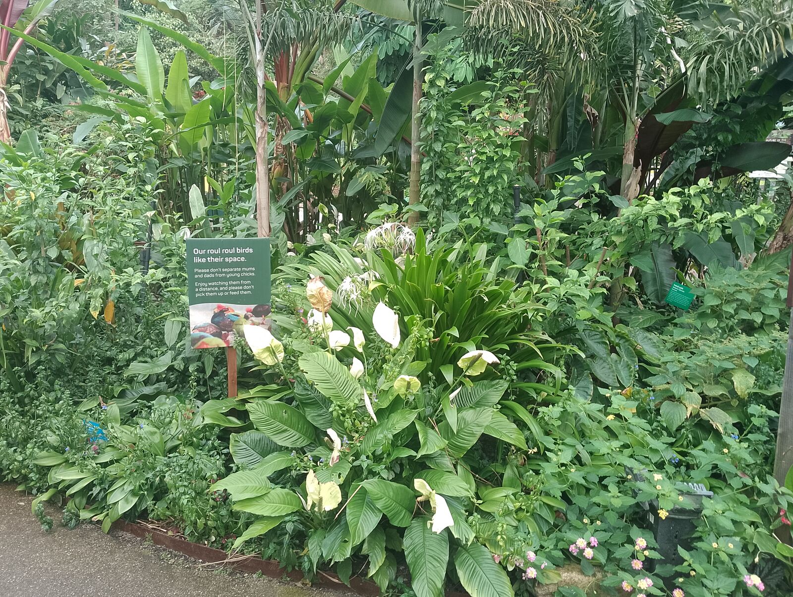 Eden Project