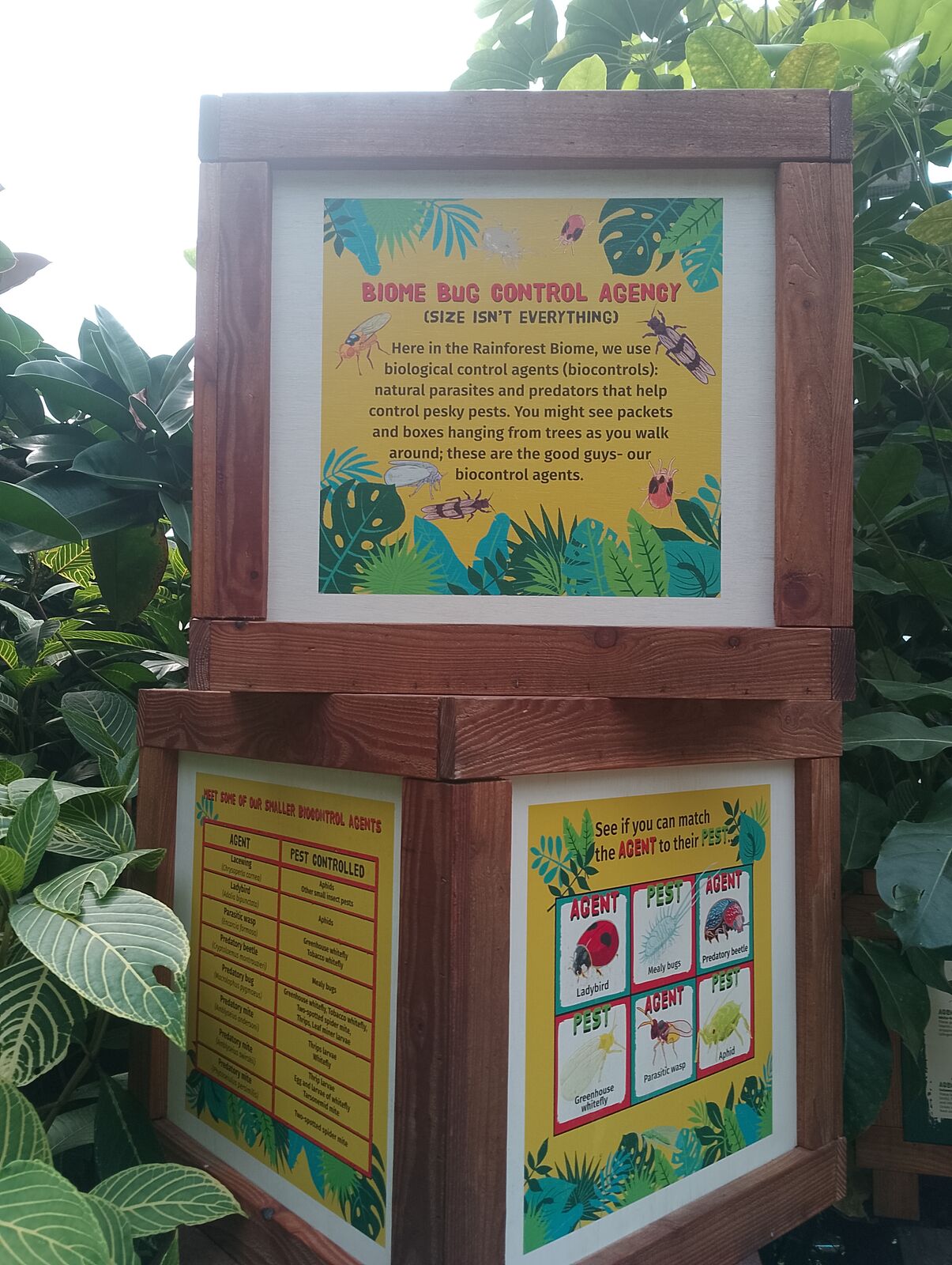Eden Project