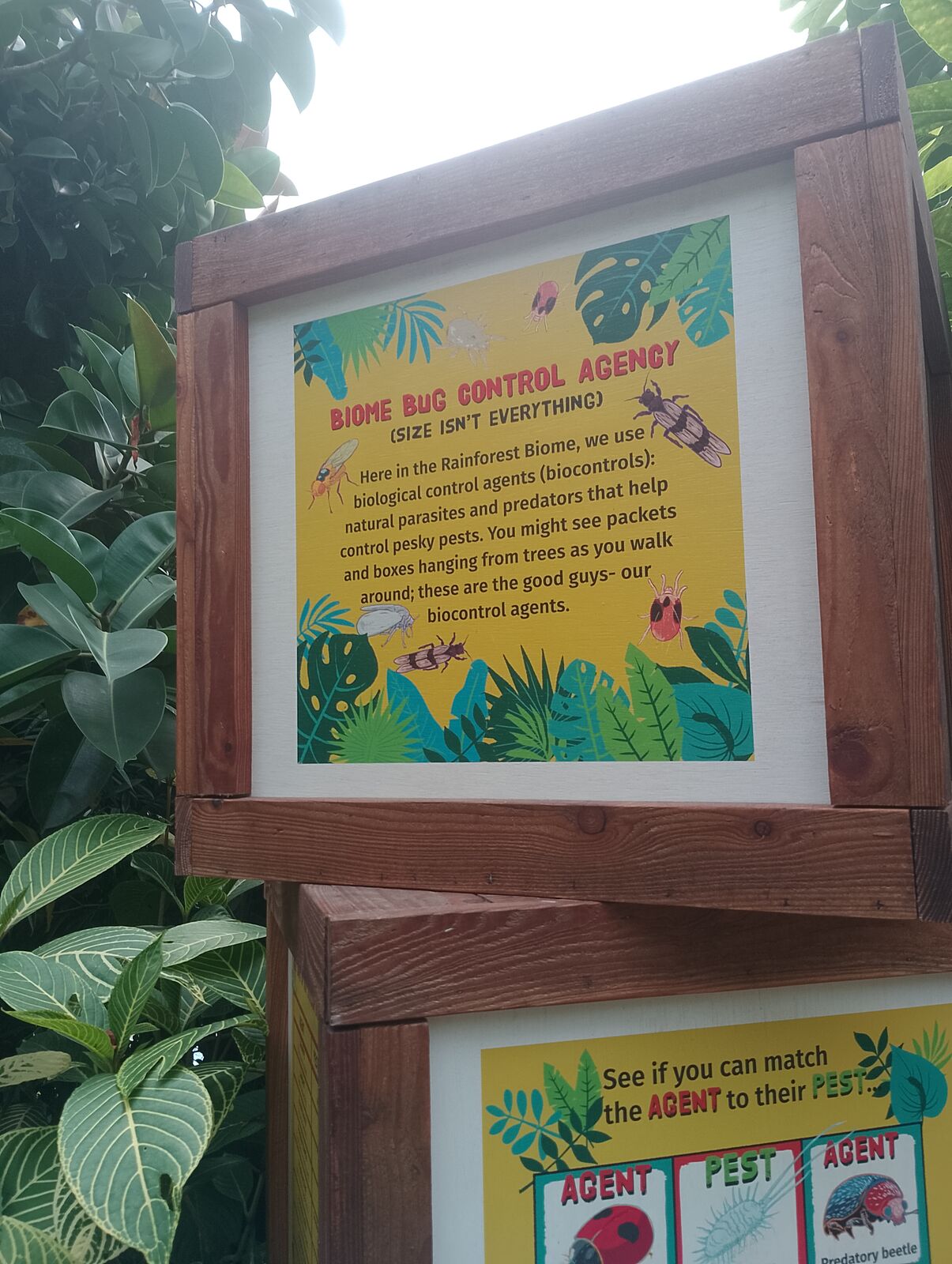 Eden Project