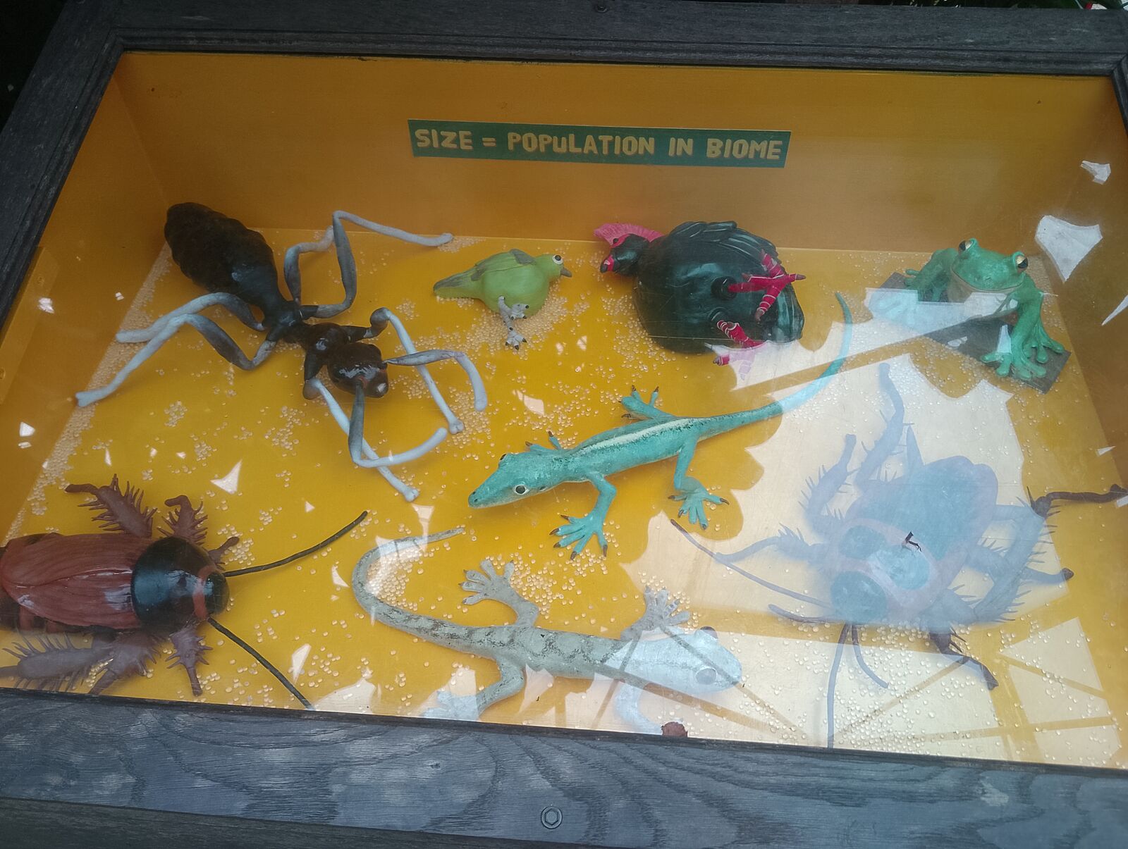 Eden Project