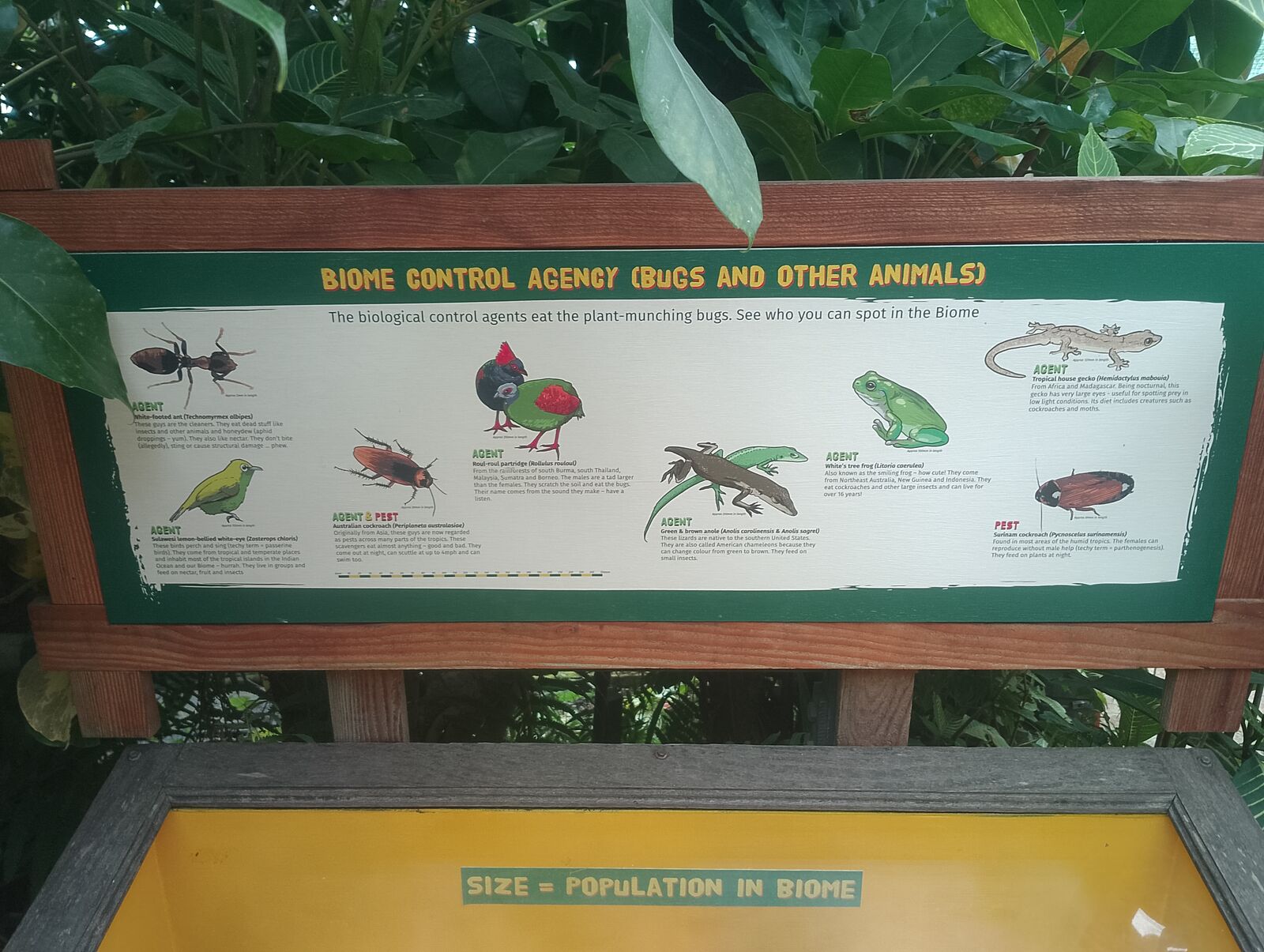 Eden Project