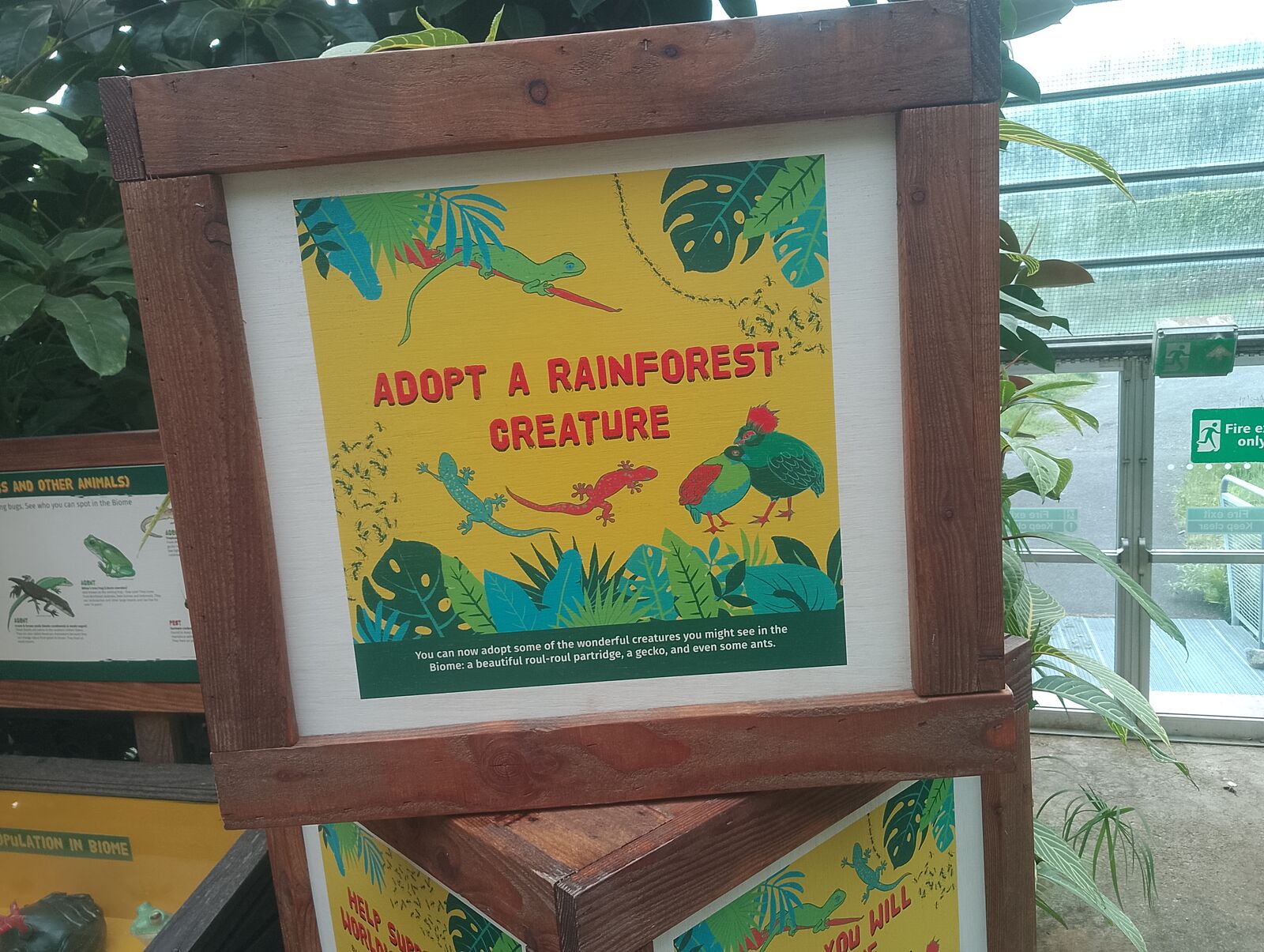 Eden Project