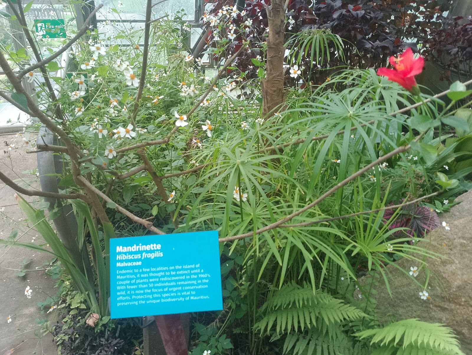 Eden Project