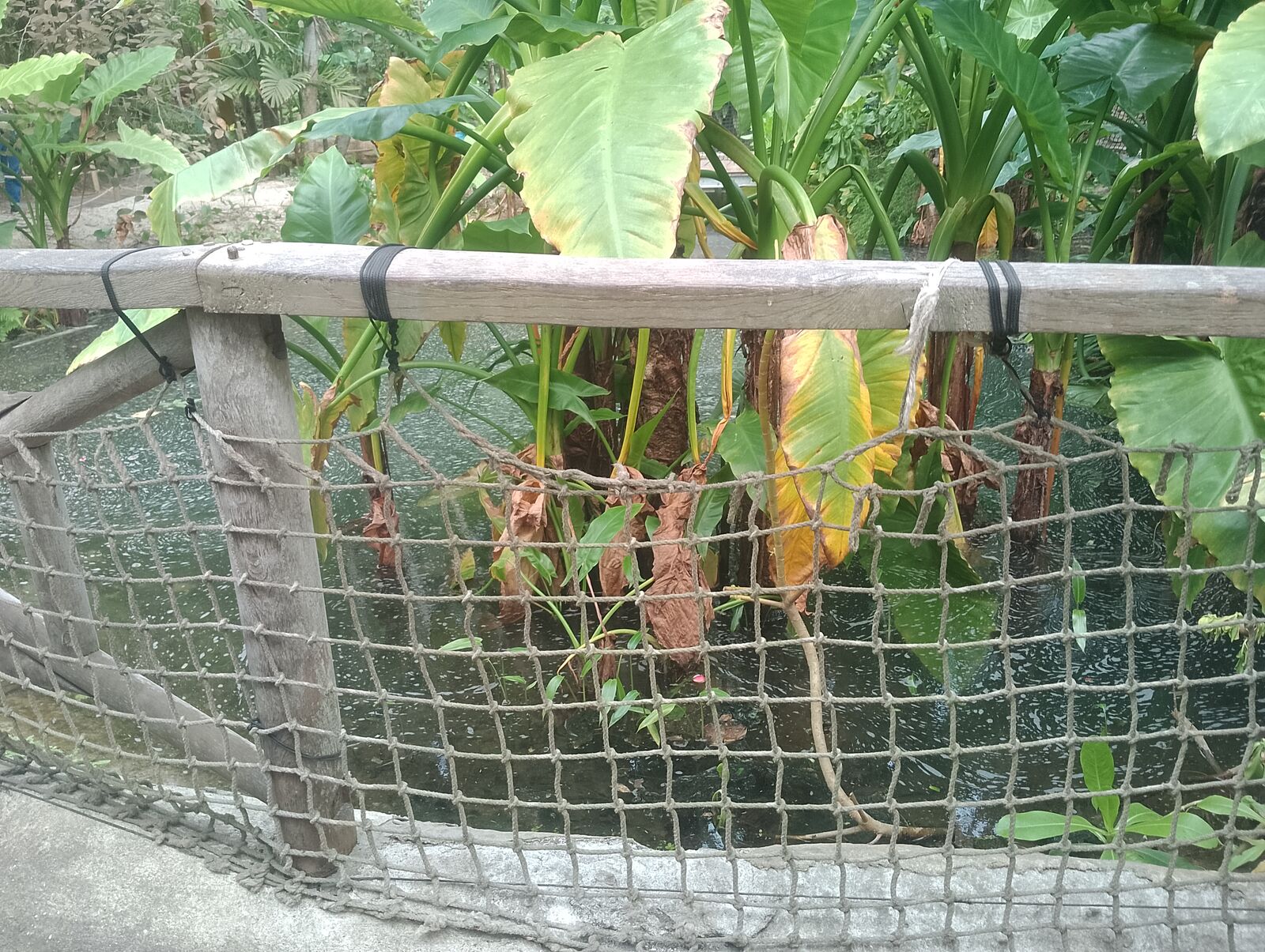 Eden Project