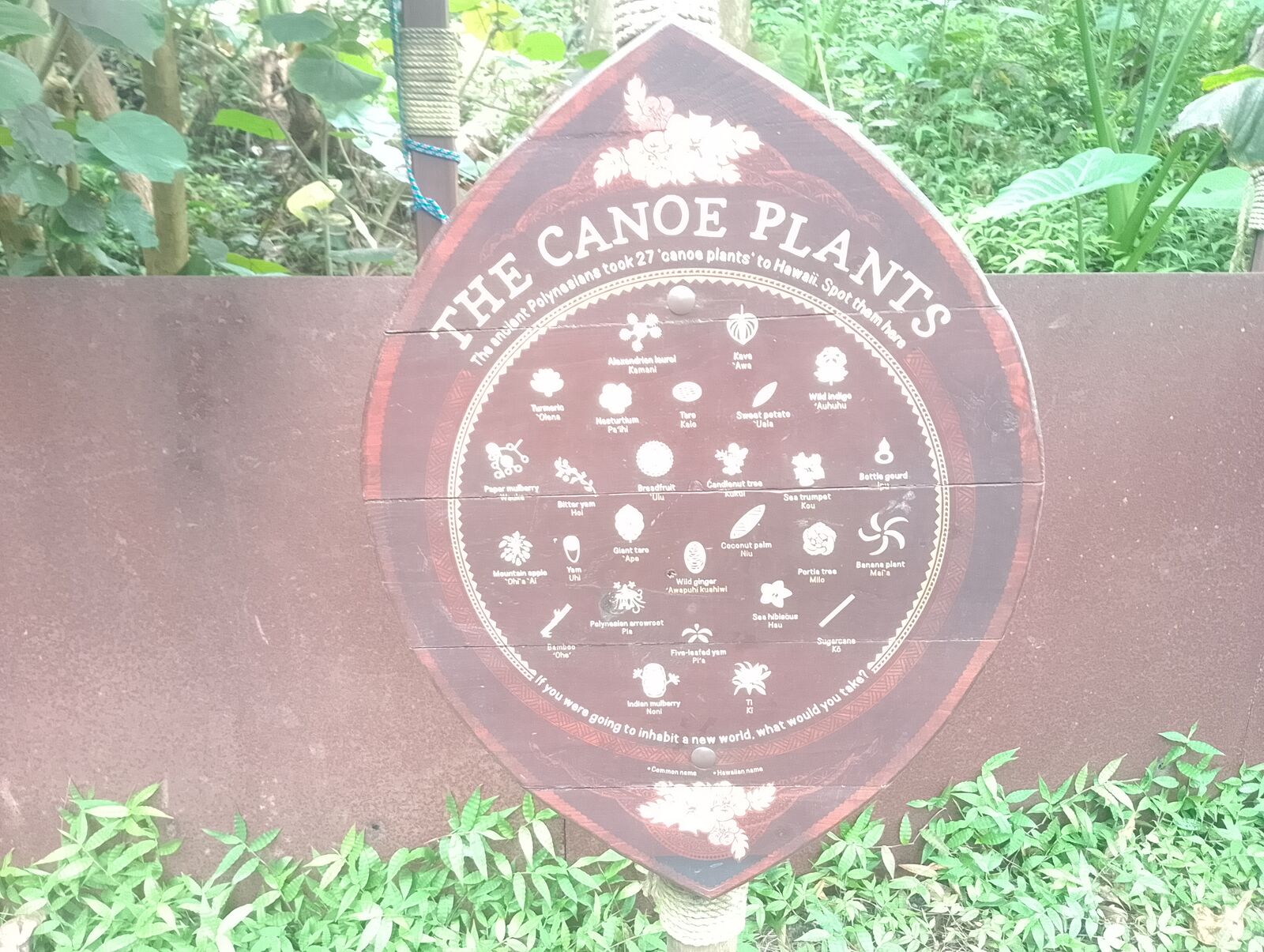 Eden Project