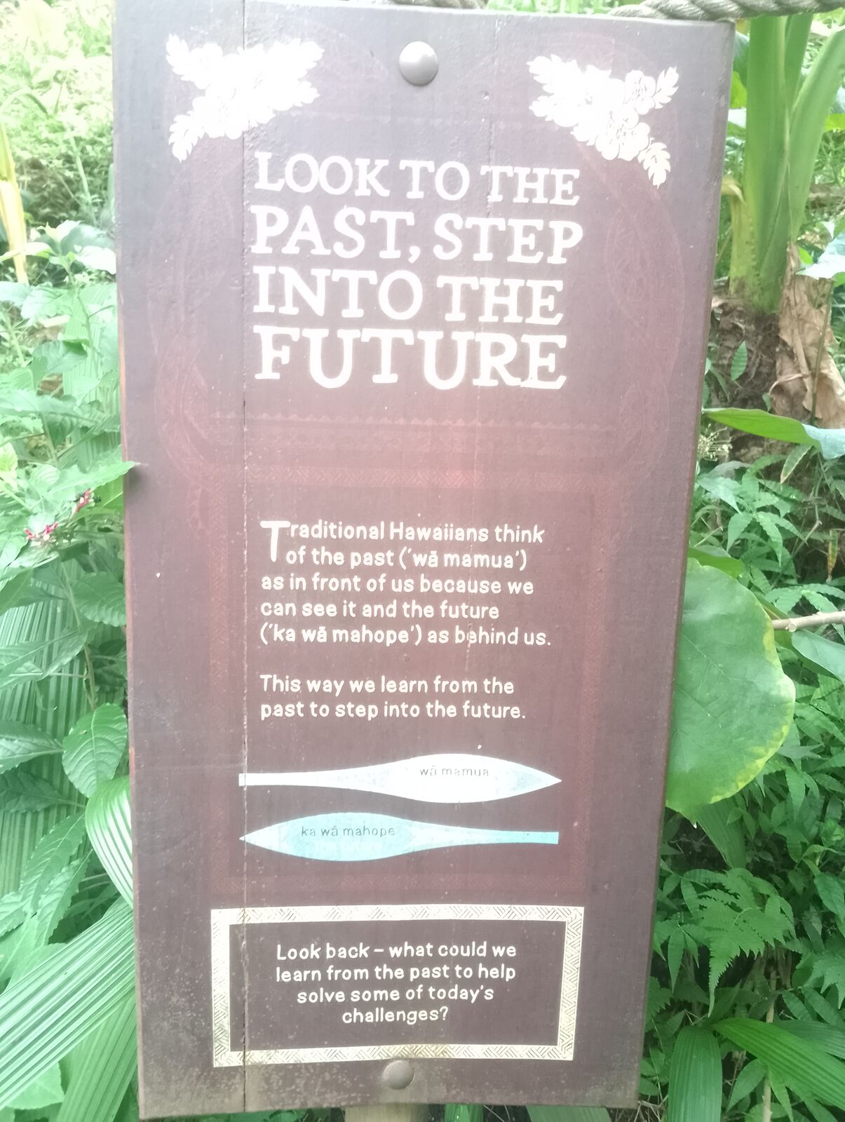Eden Project