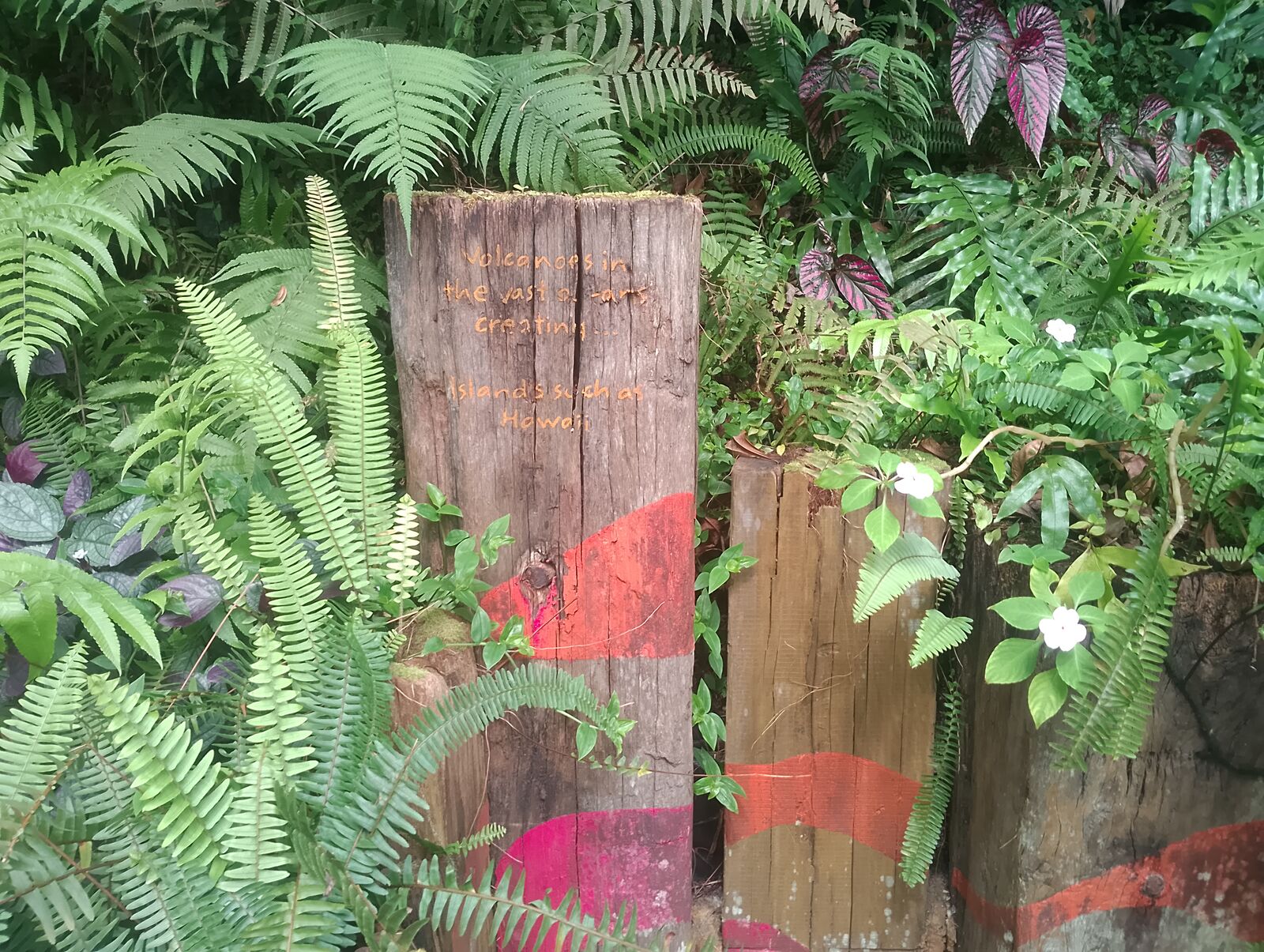 Eden Project