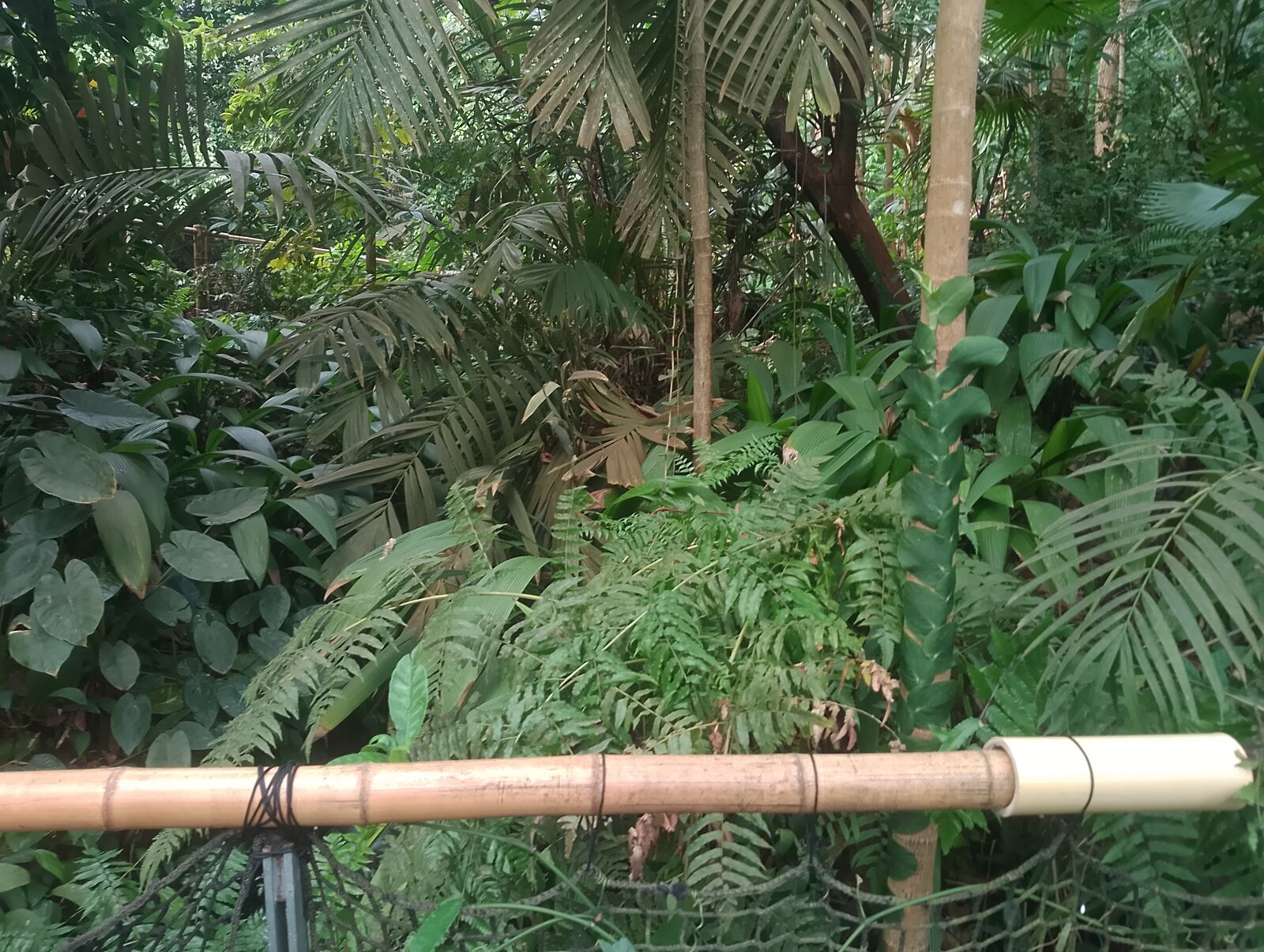 Eden Project
