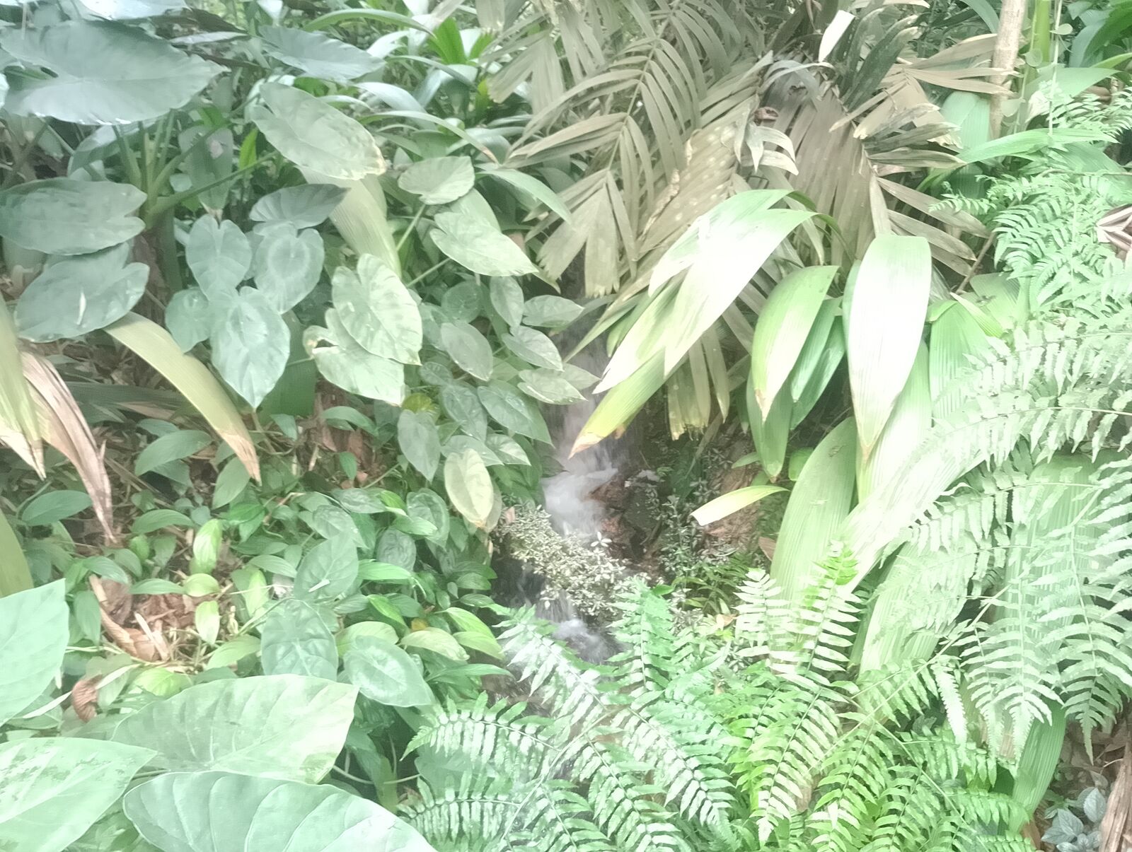 Eden Project
