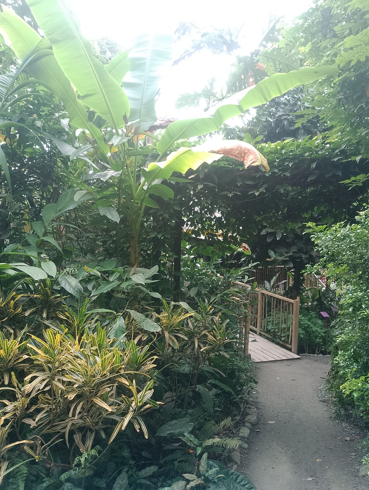 Eden Project