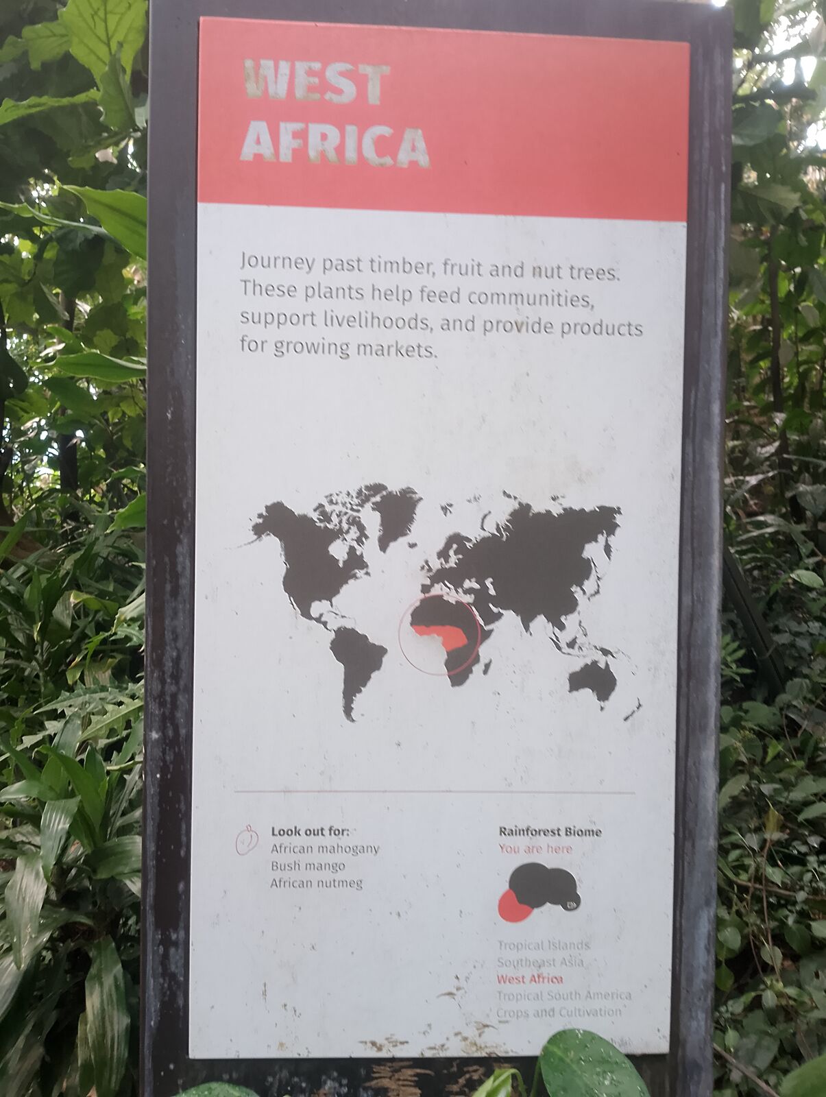 Eden Project