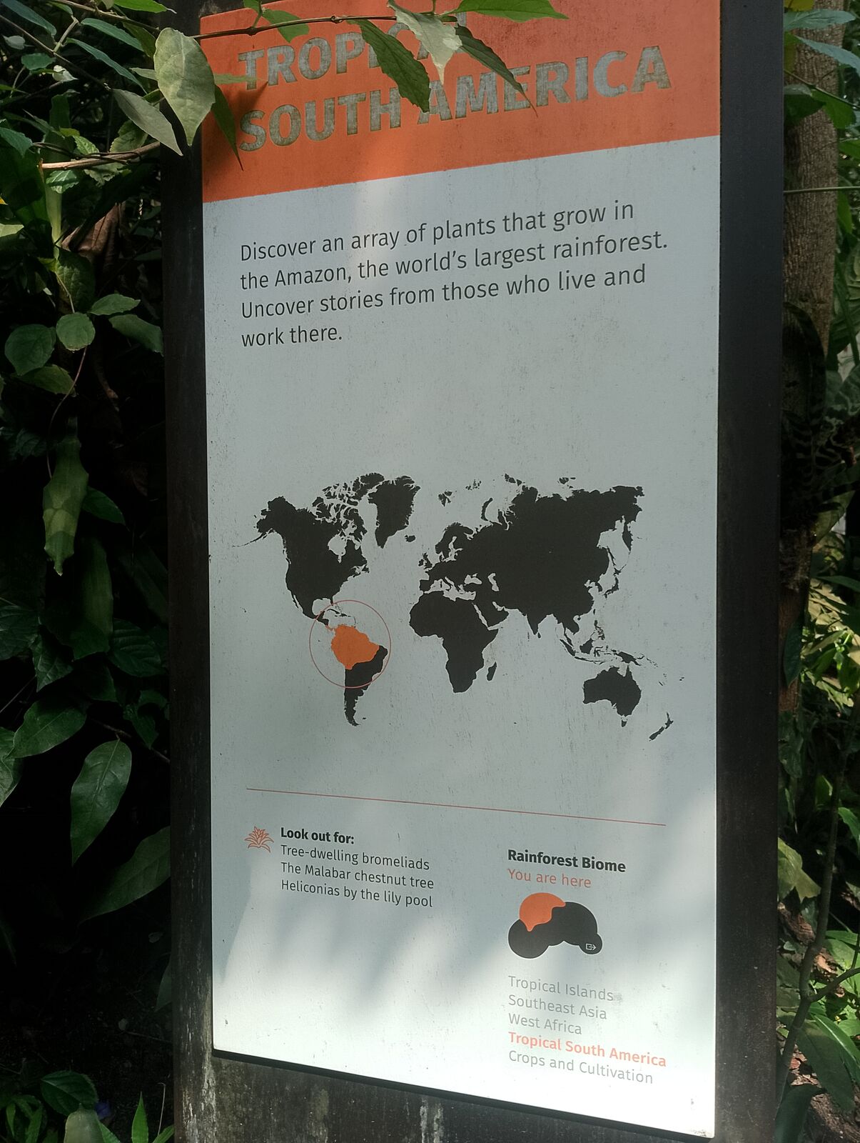 Eden Project