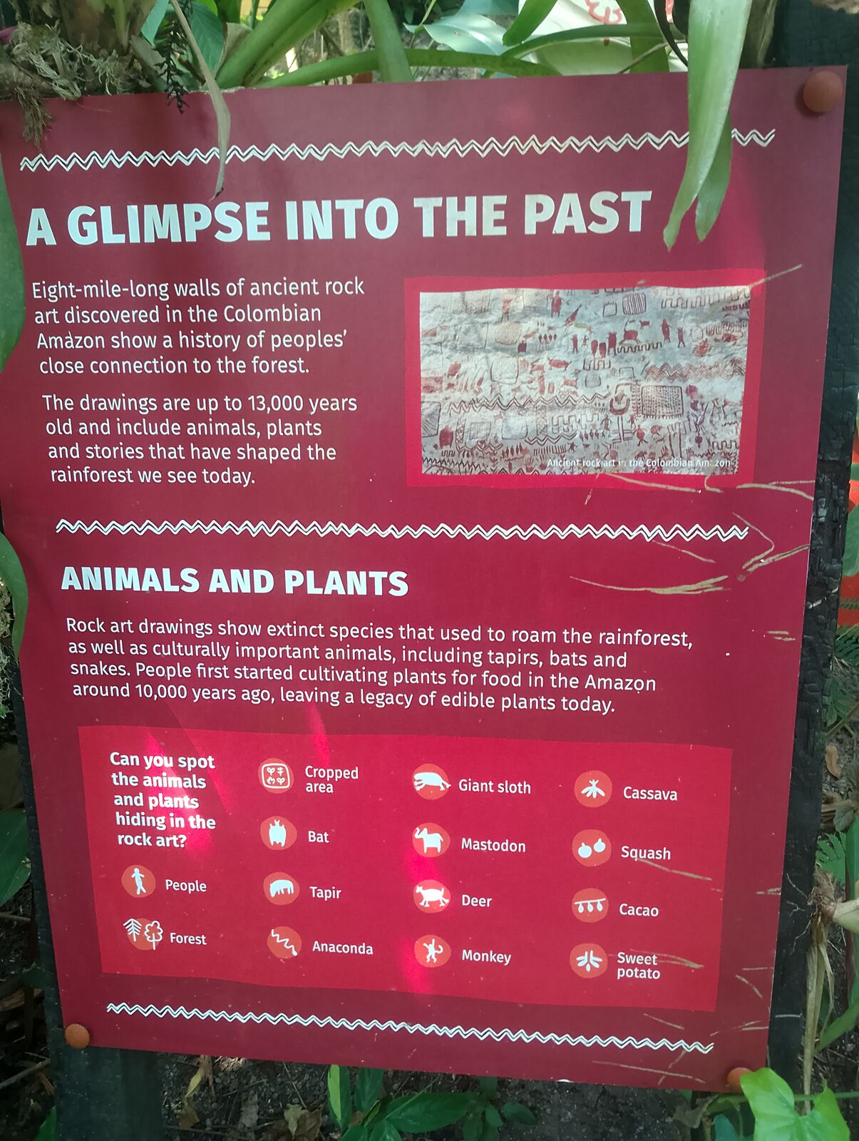 Eden Project