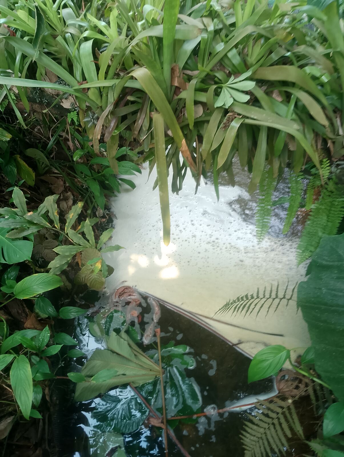 Eden Project