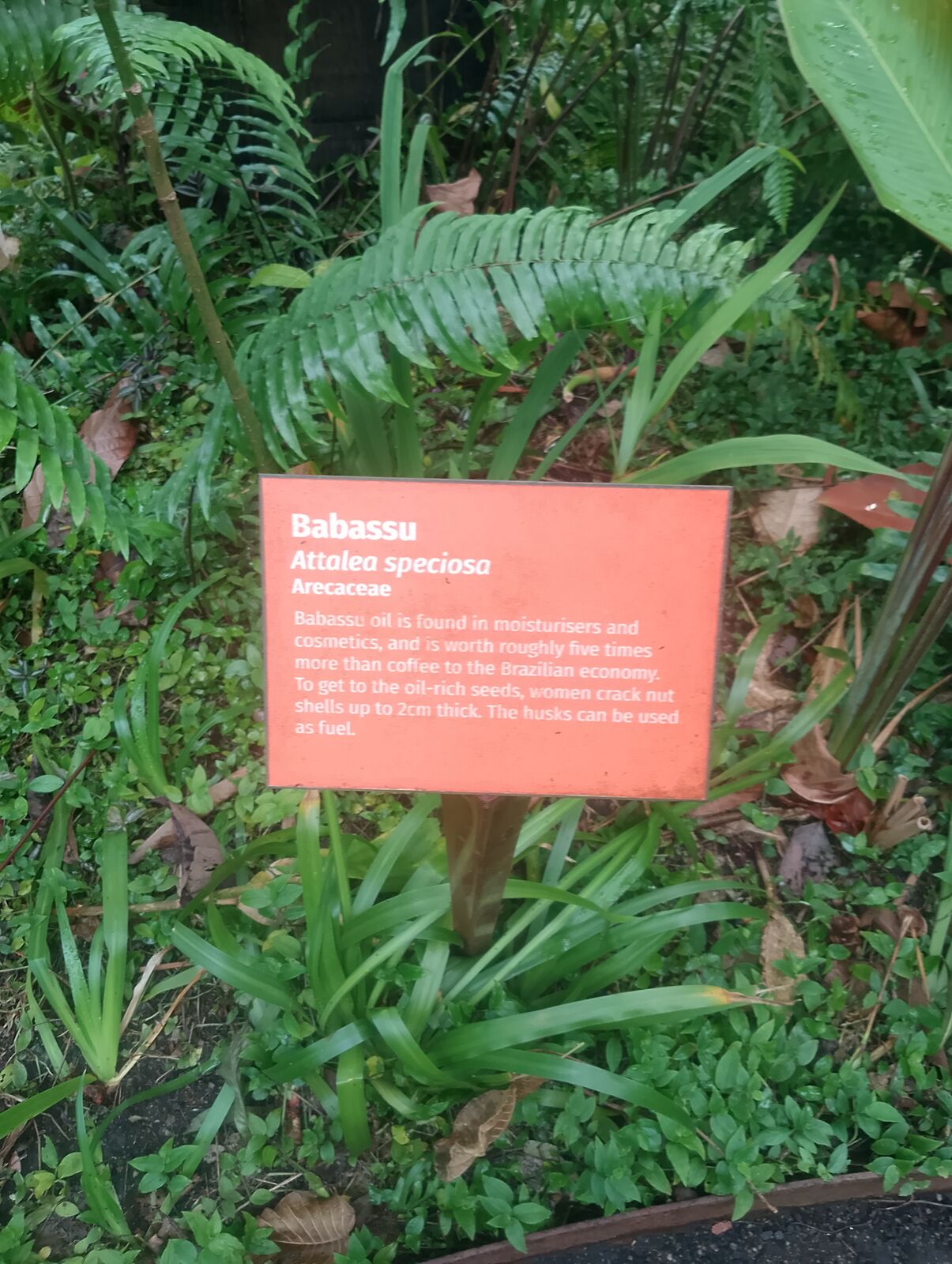 Eden Project