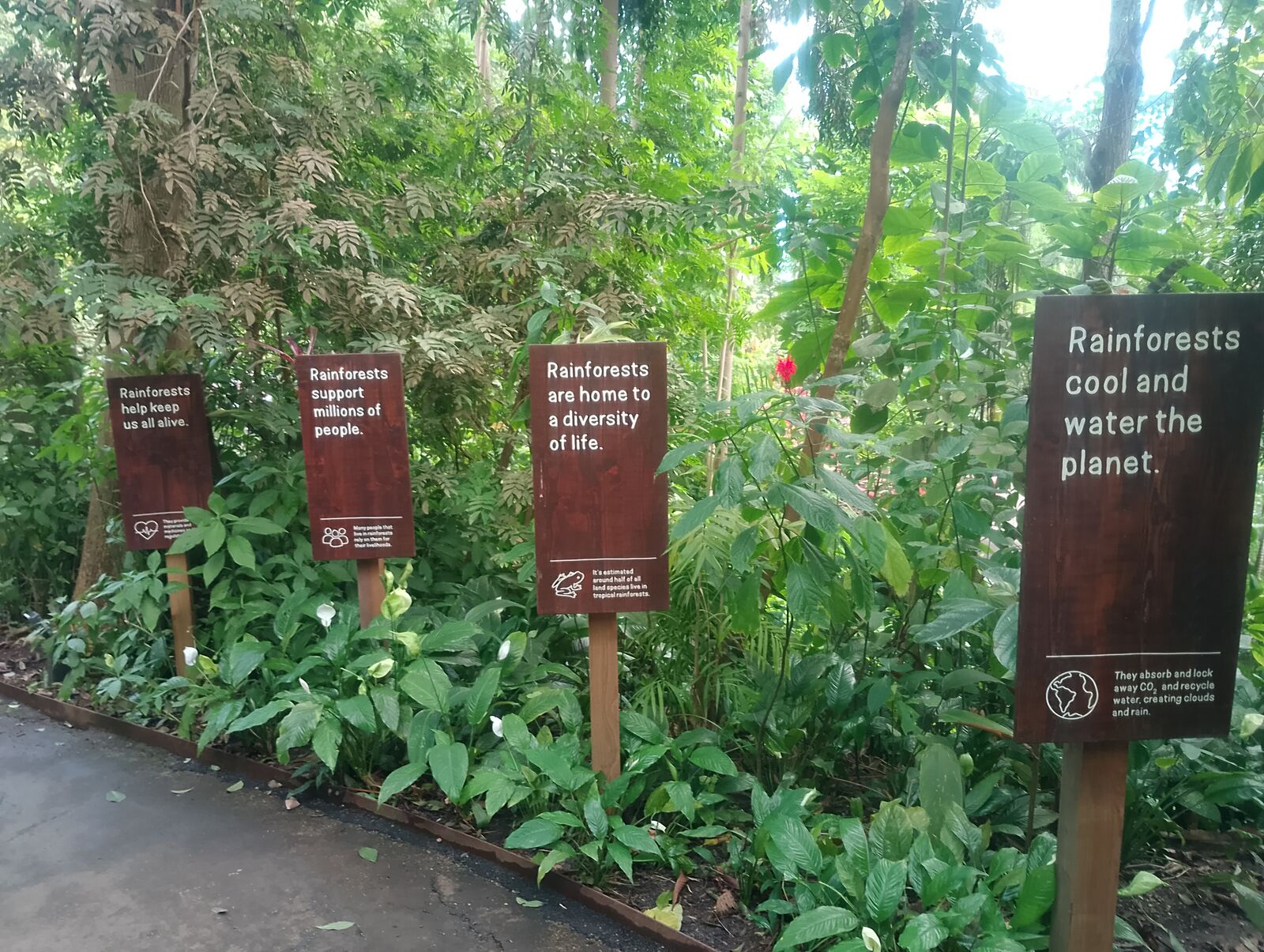 Eden Project