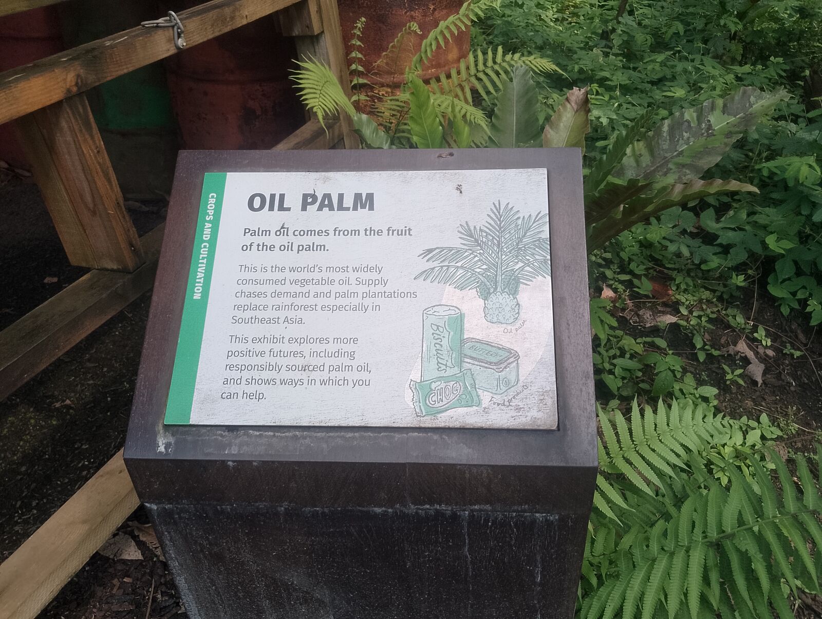 Eden Project