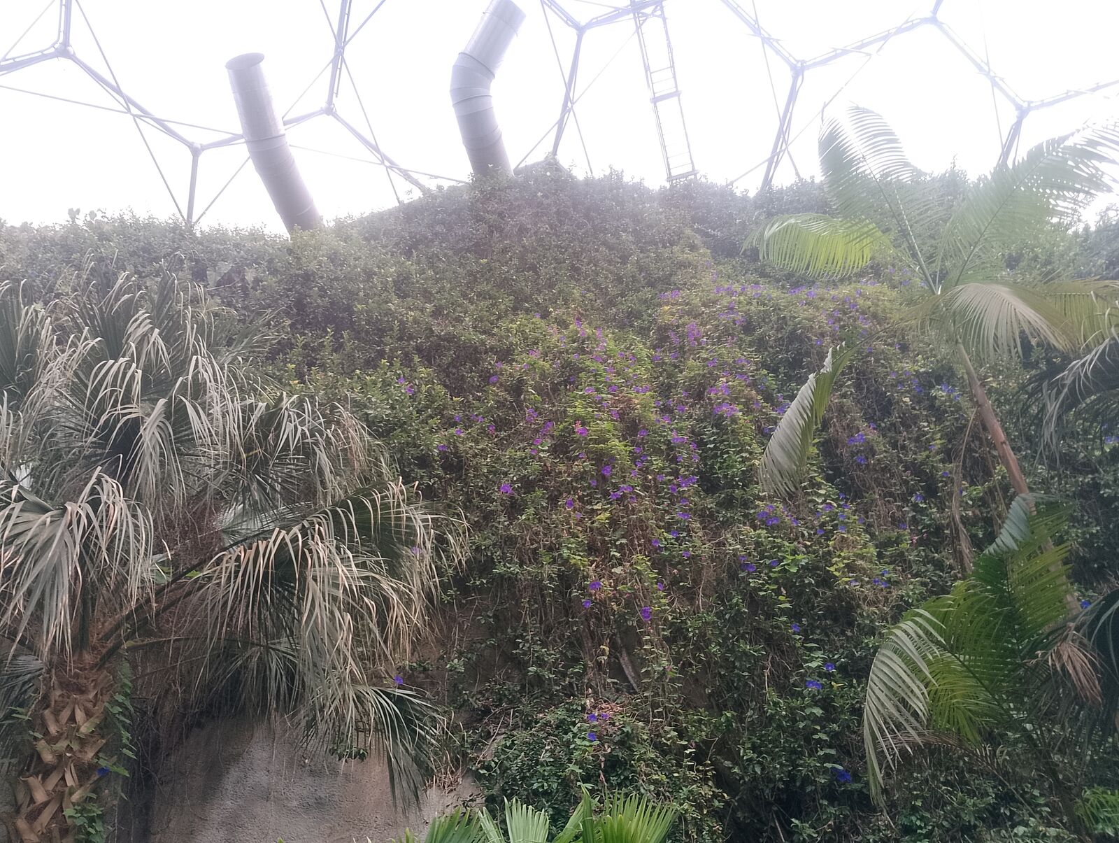 Eden Project