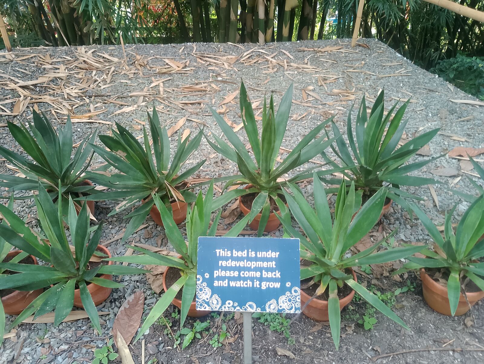 Eden Project