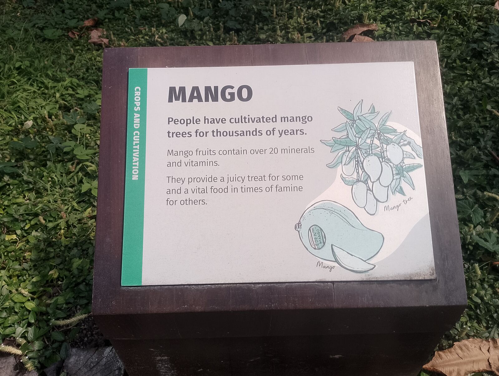 Eden Project